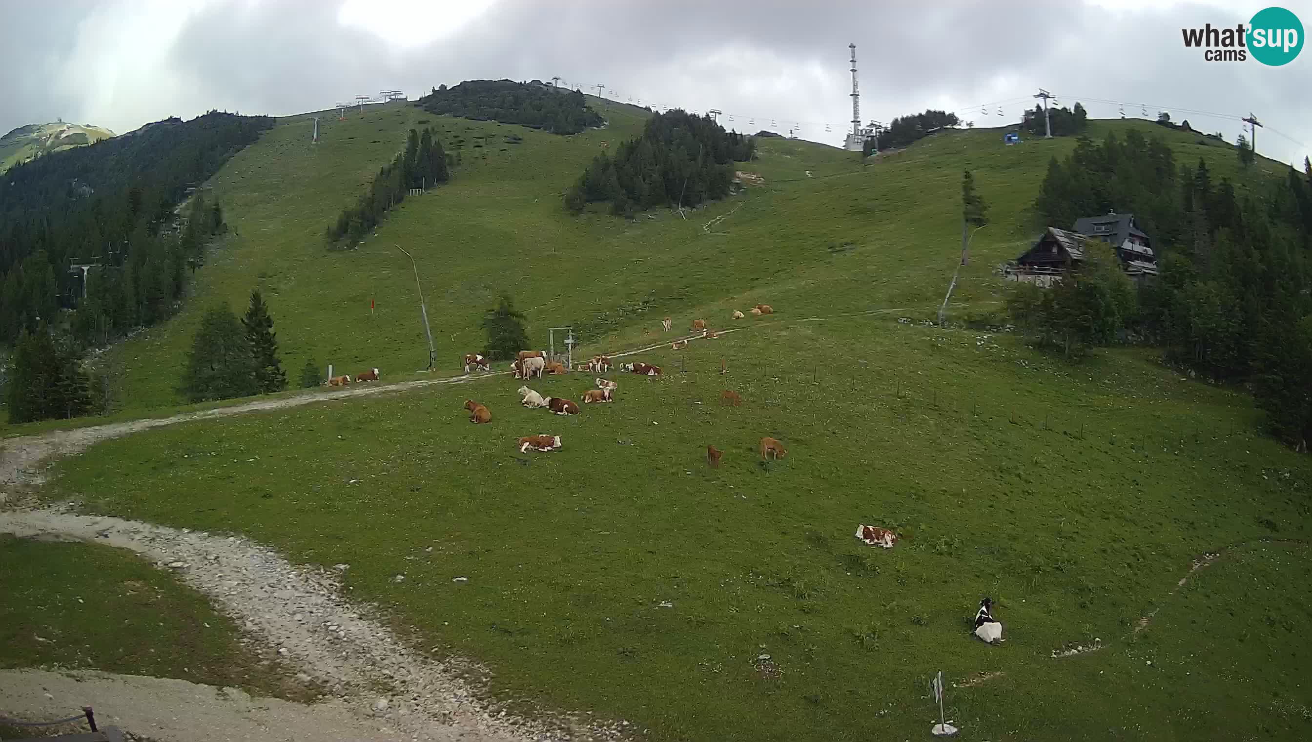 Krvavec Webcam Motorized – Ski resort