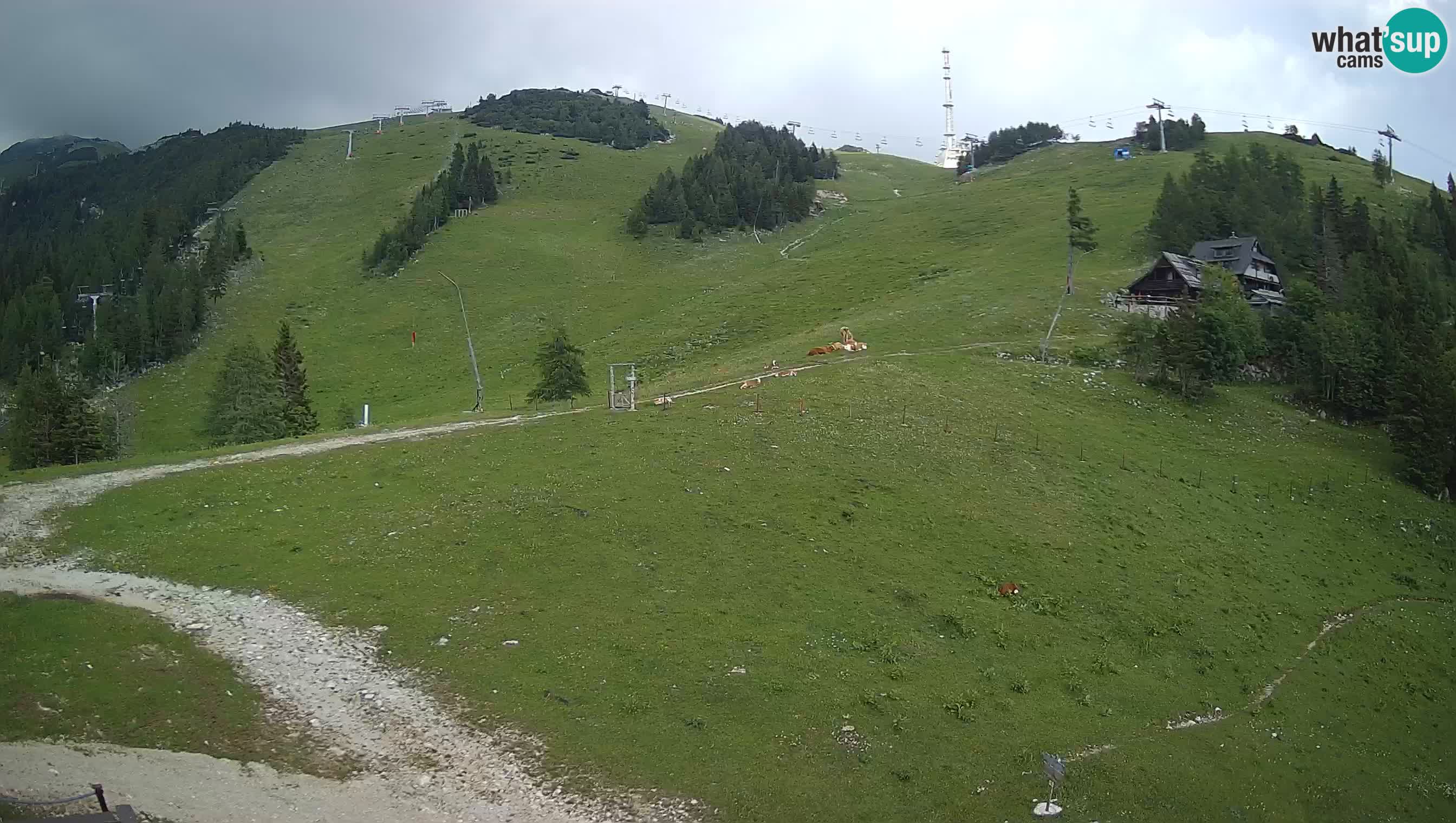 Livecam Krvavec