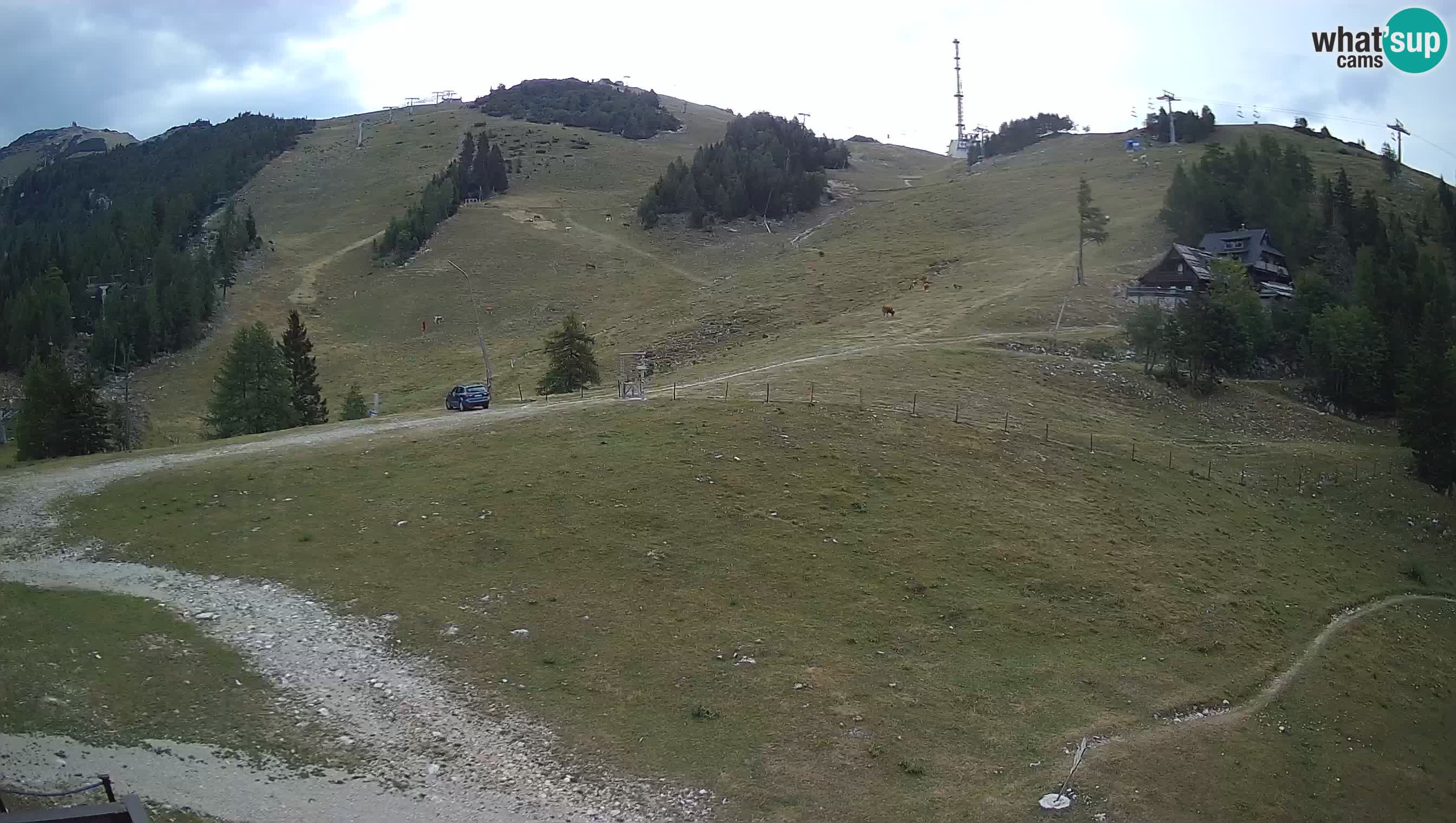 Krvavec camera en vivo – Ski resort