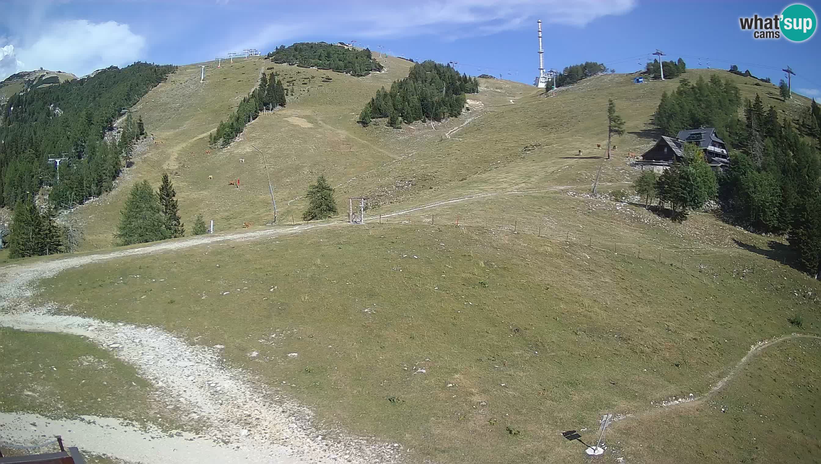 Krvavec Webcam Motorized – Ski resort