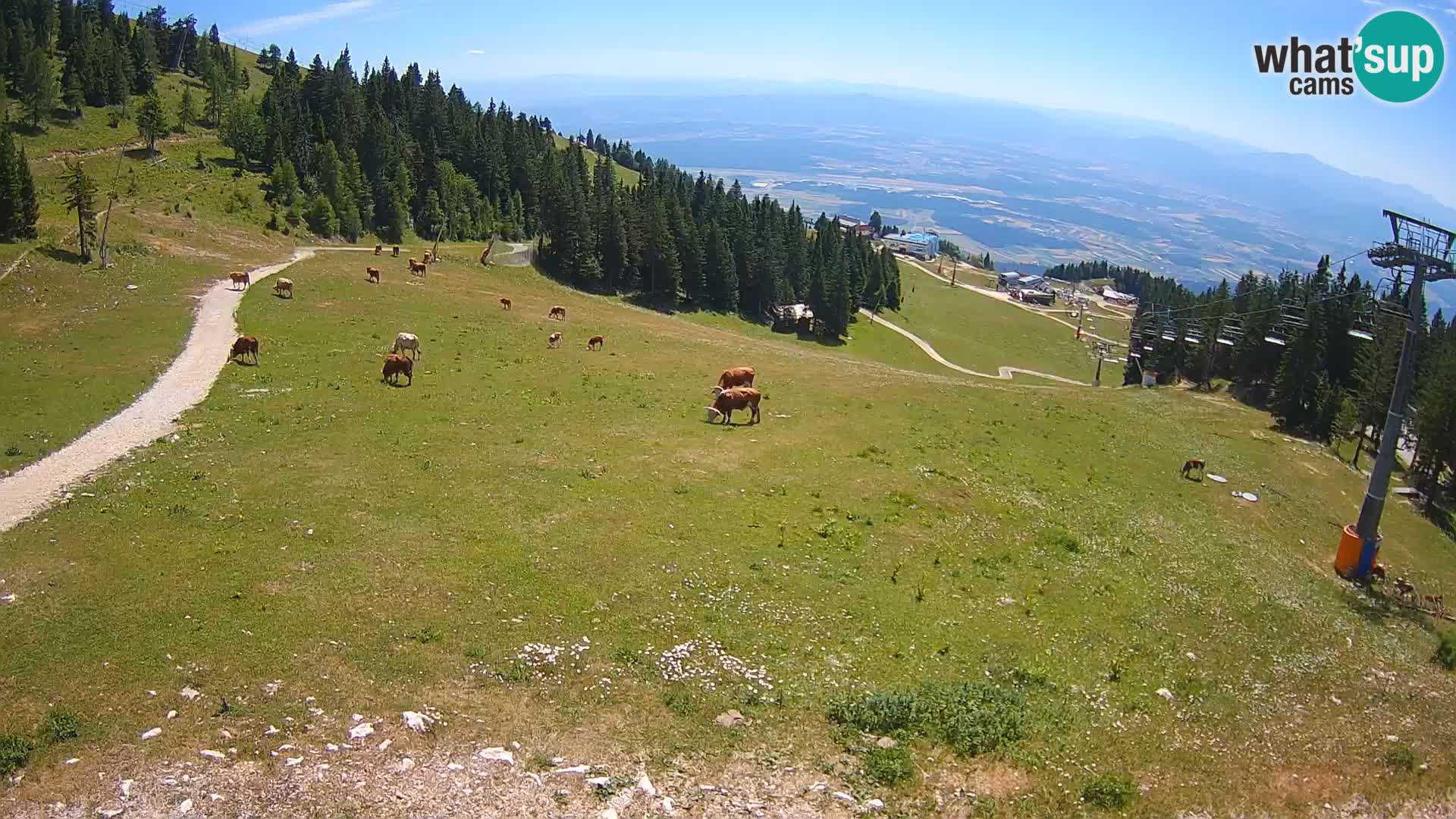 Krvavec webcam livestreaming – Gospinca