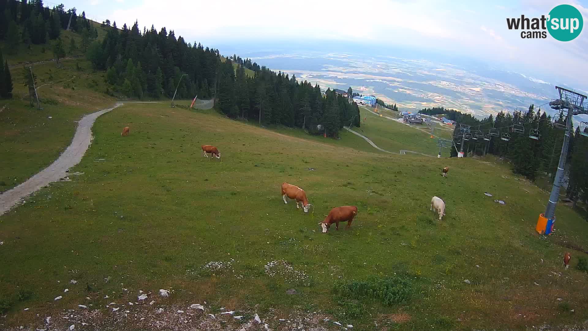 Krvavec webcam livestreaming