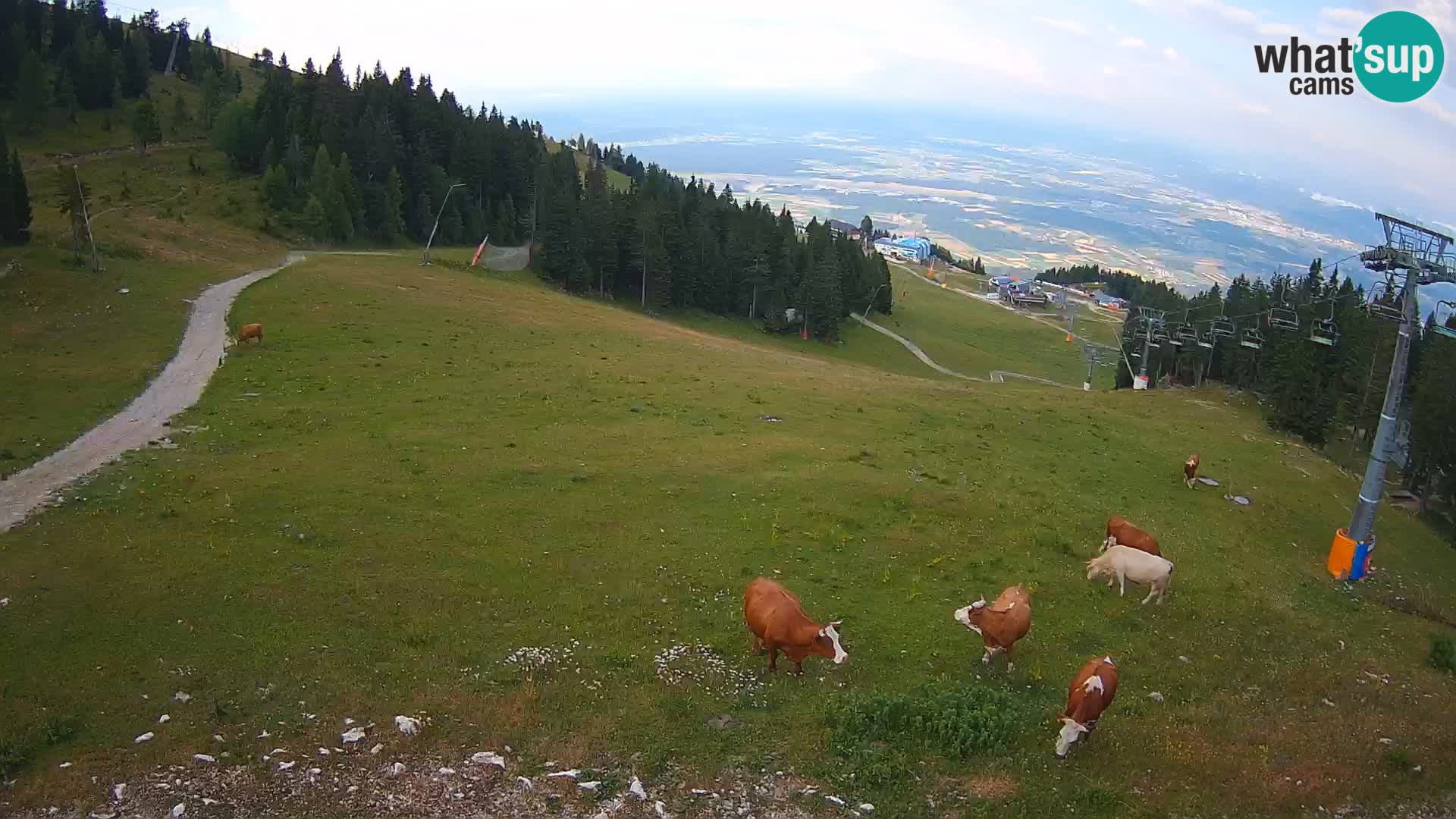 Krvavec webcam livestreaming – Gospinca