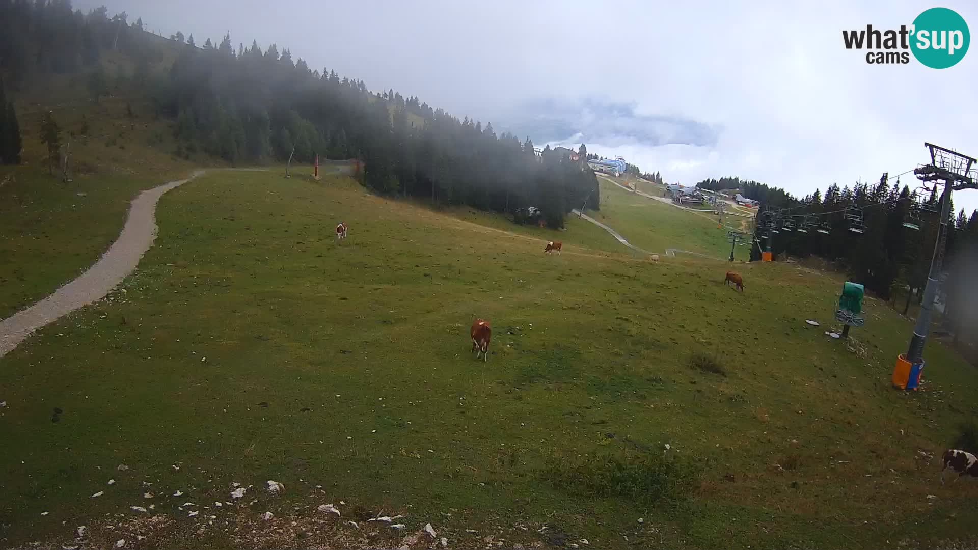 Krvavec webcam livestreaming