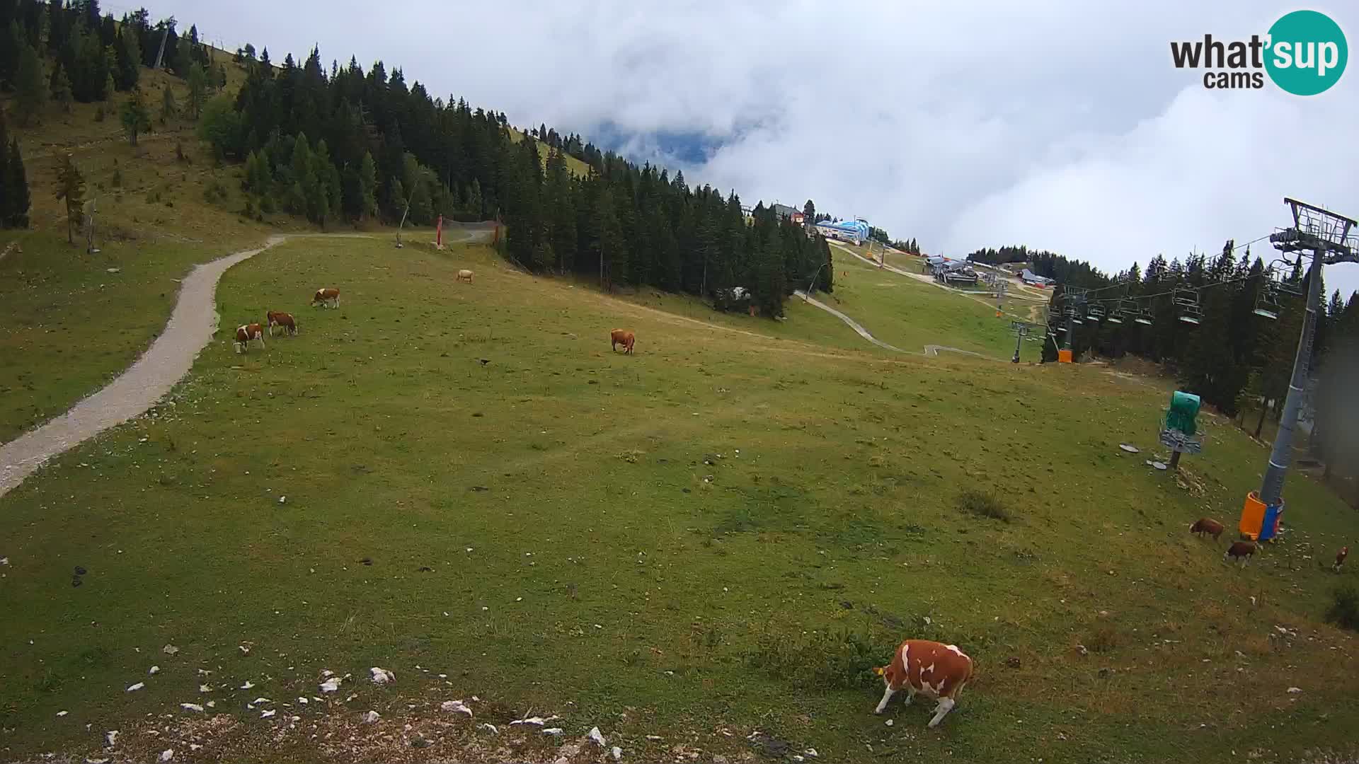 Krvavec webcam livestreaming – Gospinca