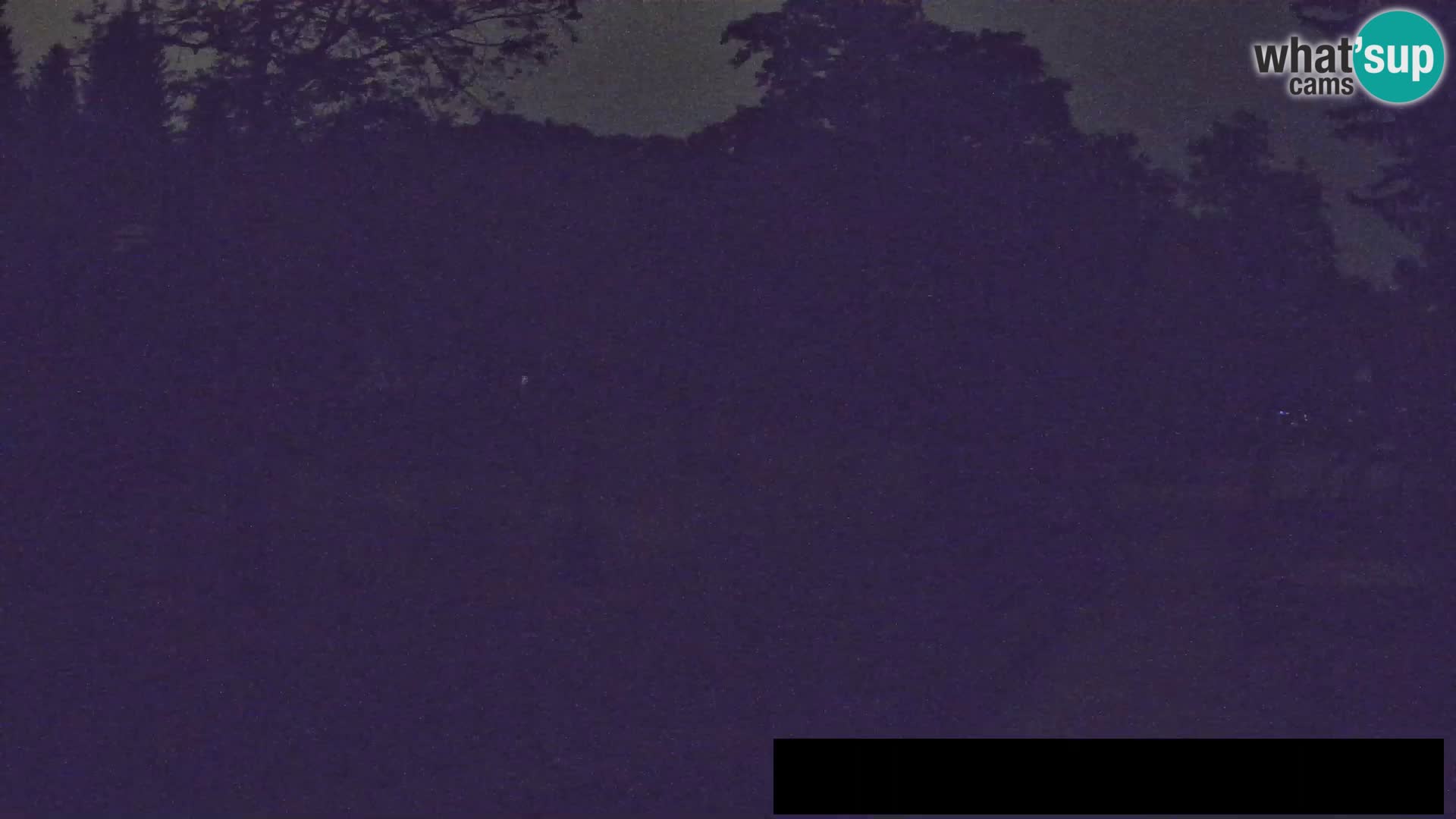 Webcam Zoo Ljubljana – Giraffes