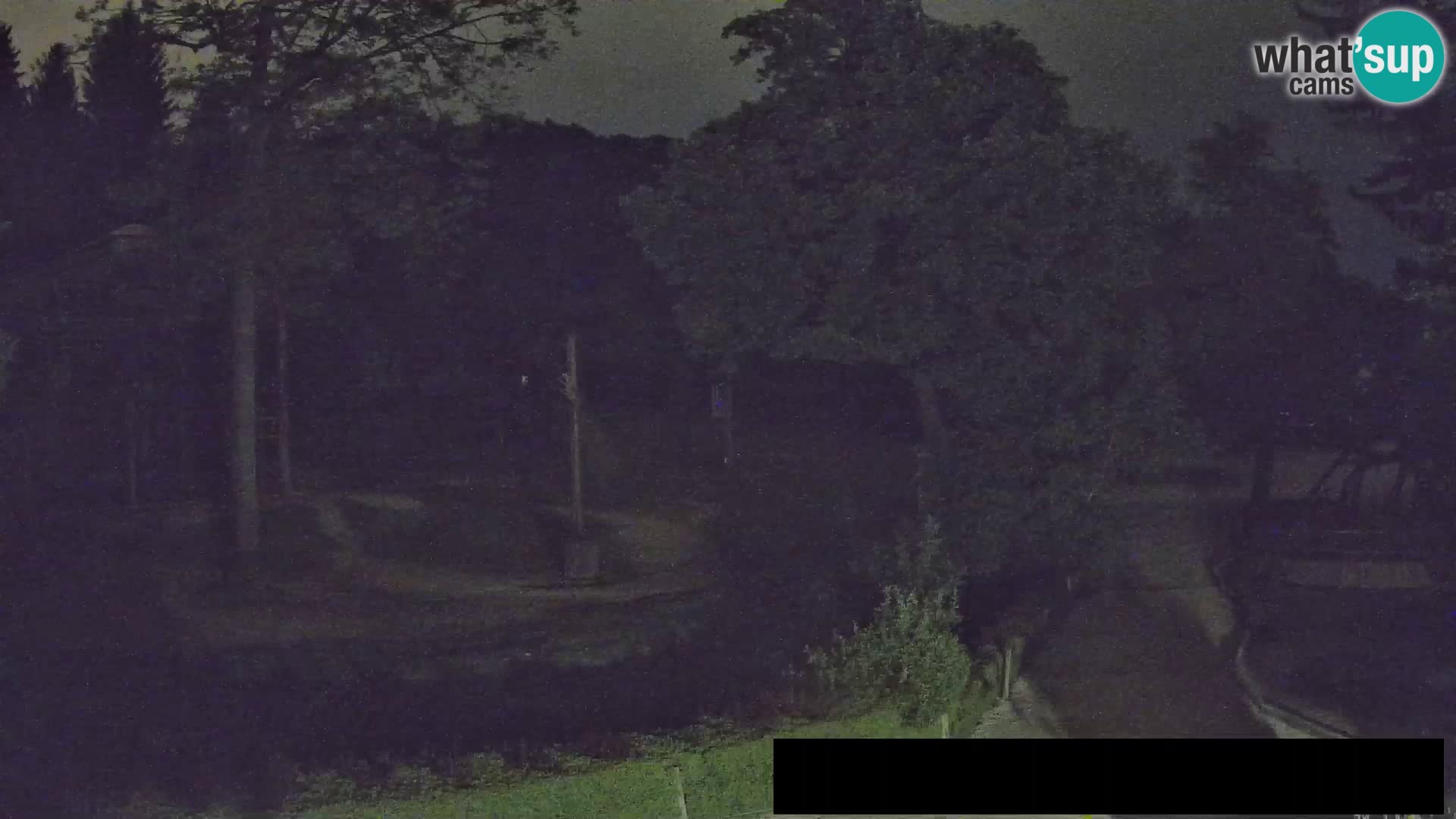 Webcam Zoo Ljubljana – Giraffes