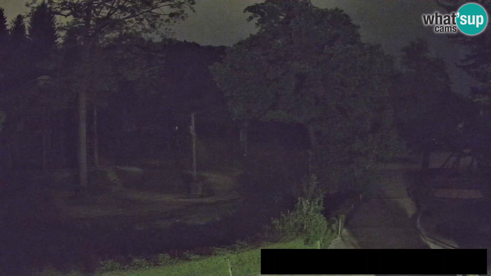 Webcam live Zoo Lubiana – Giraffe