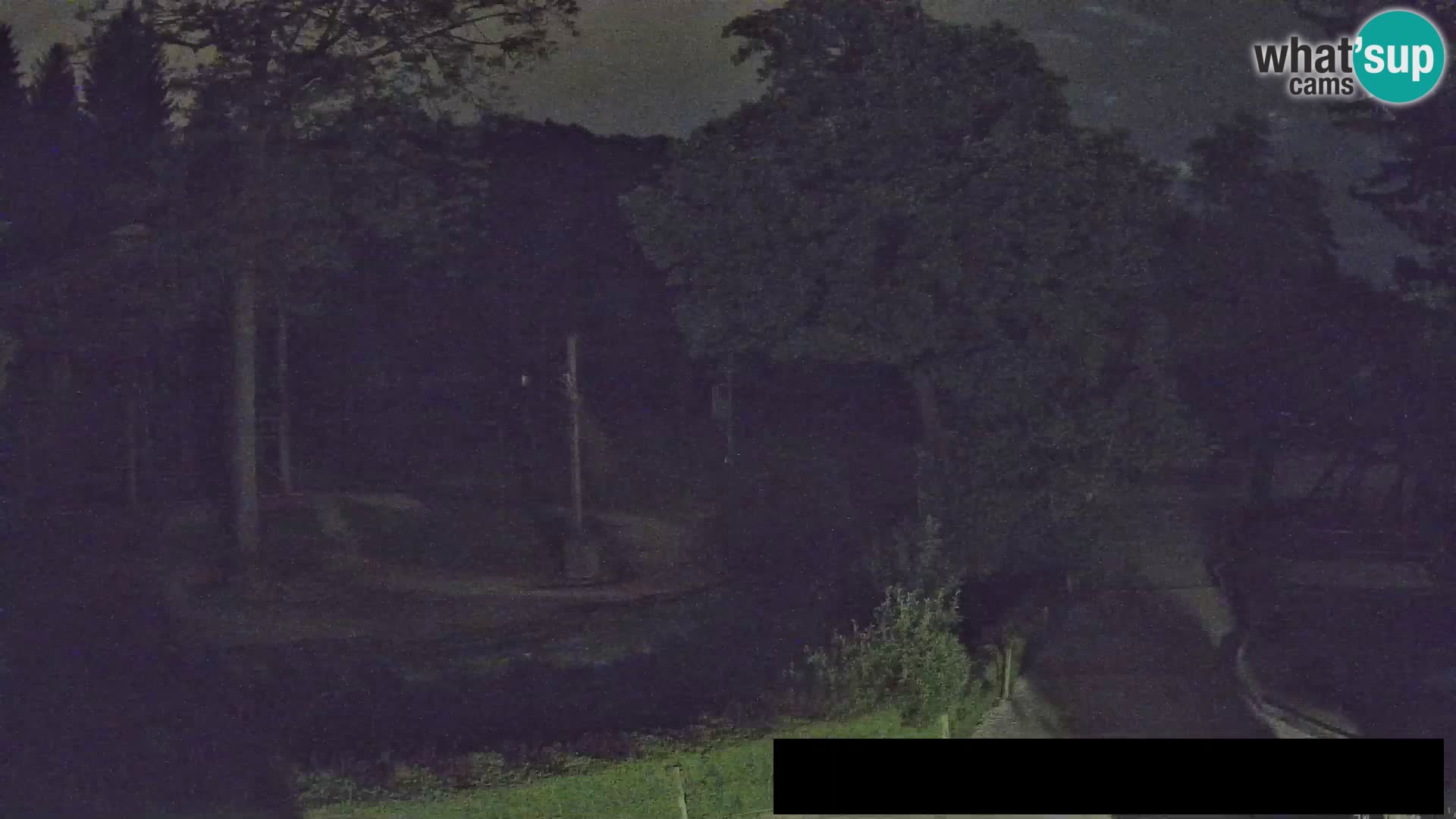Webcam live Zoo Lubiana – Giraffe