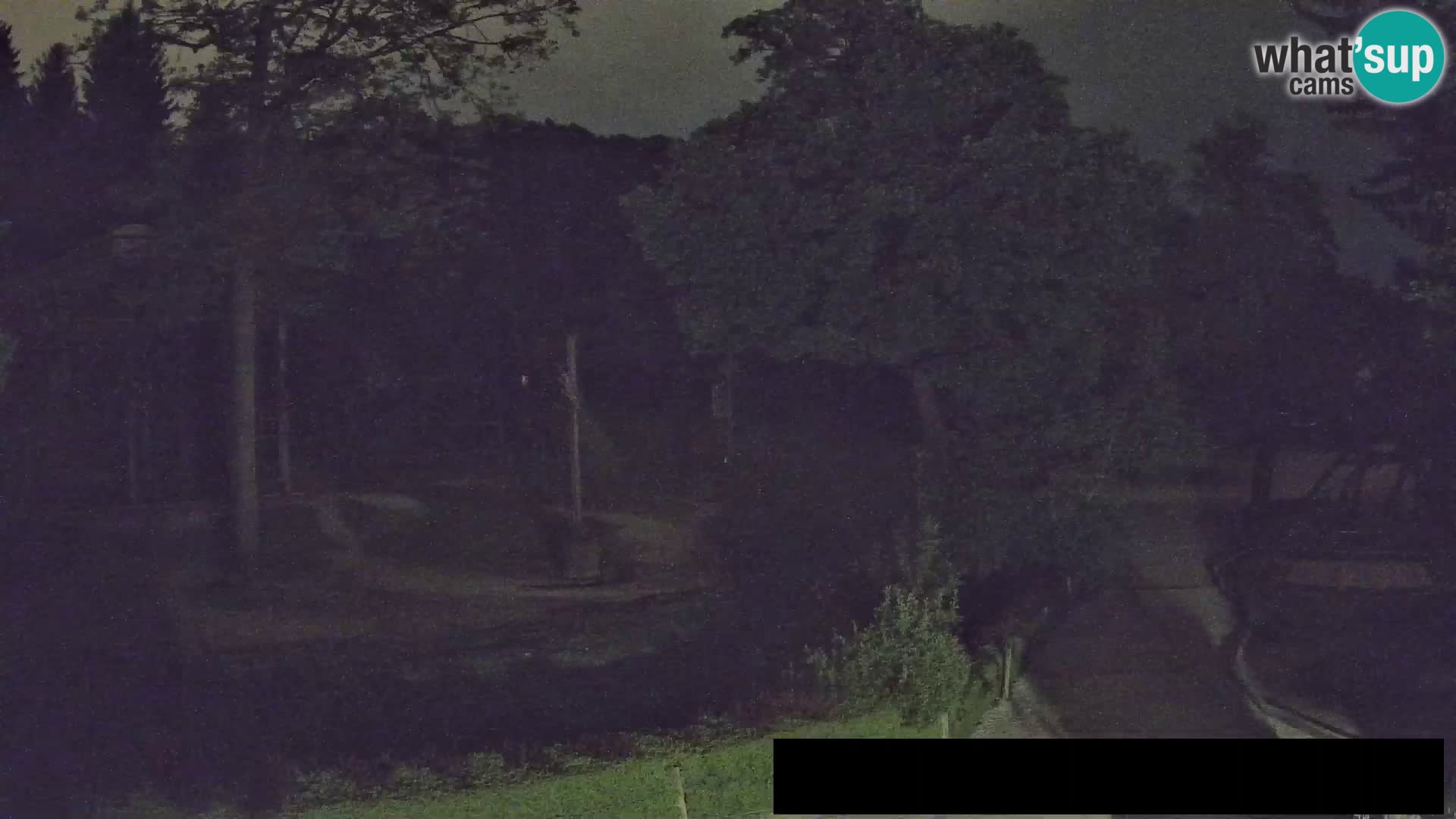 Webcam Zoo Ljubljana – Giraffen