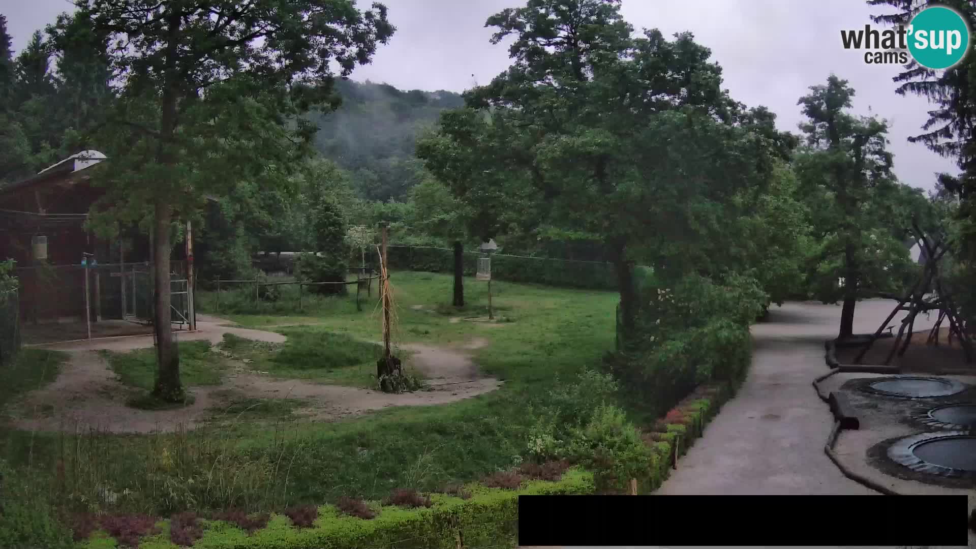 Webcam Zoo Ljubljana – Jirafas