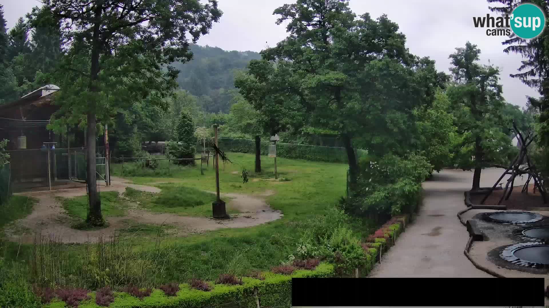 Webcam Zoo Ljubljana – Jirafas