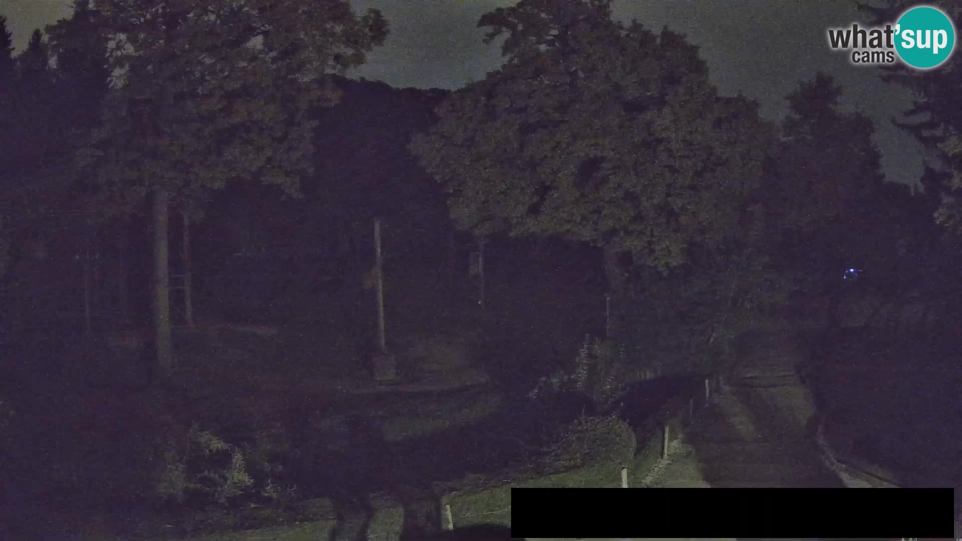 Webcam Zoo Ljubljana – Giraffes