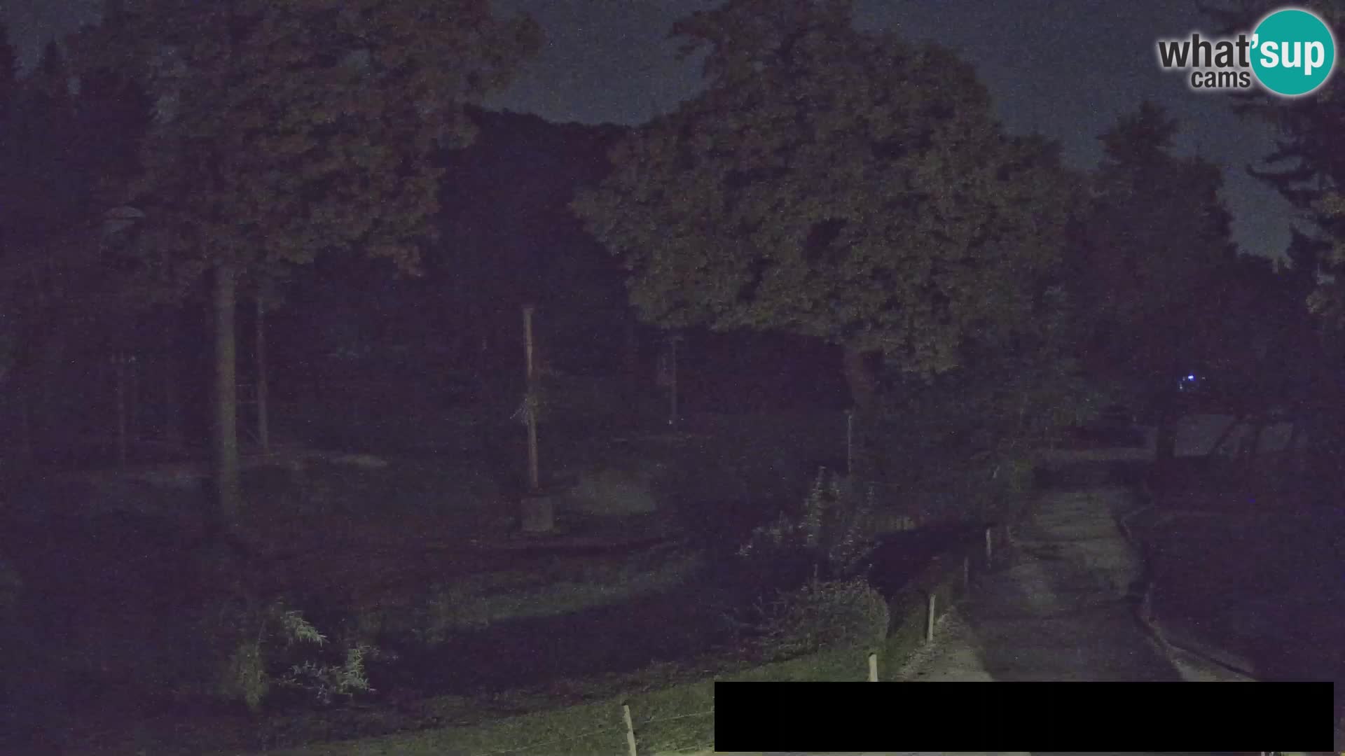 Webcam Zoo Ljubljana – Giraffes