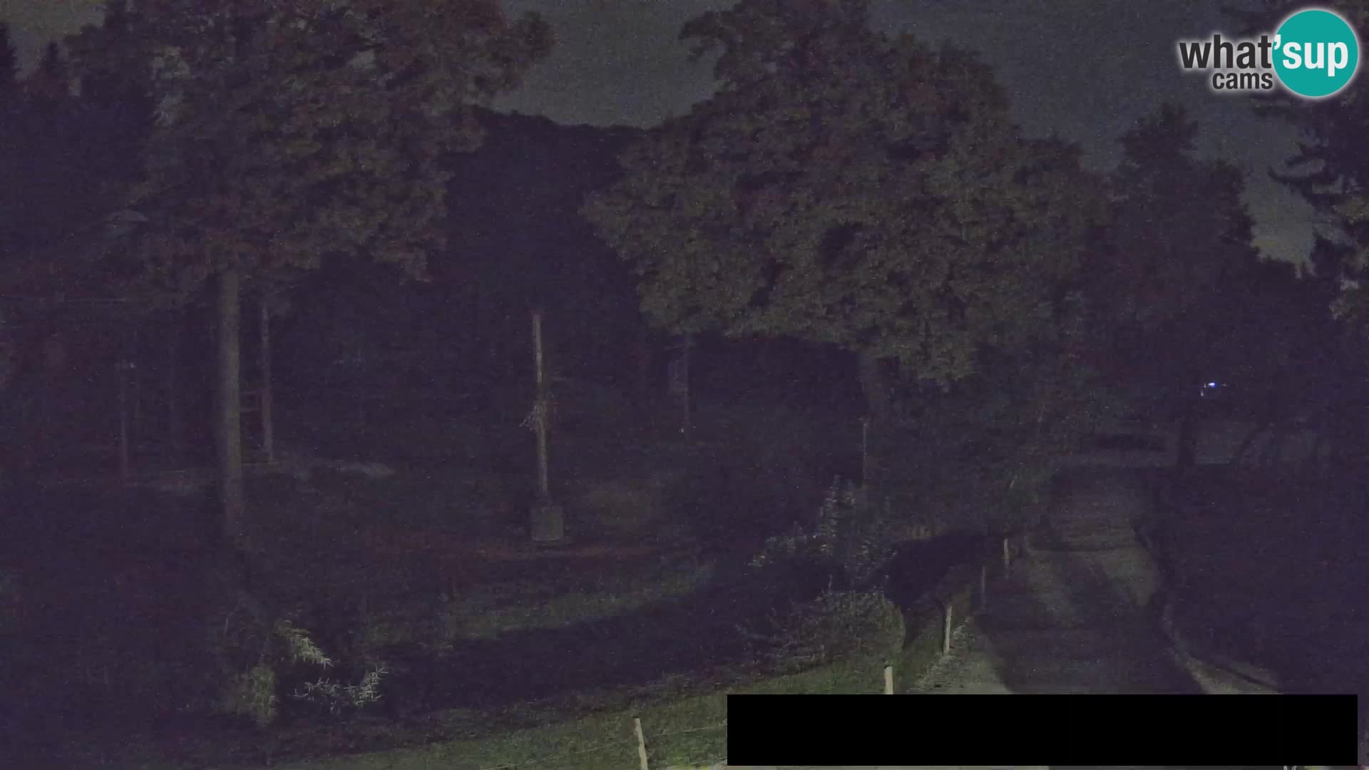 Webcam Zoo Ljubljana – Giraffes