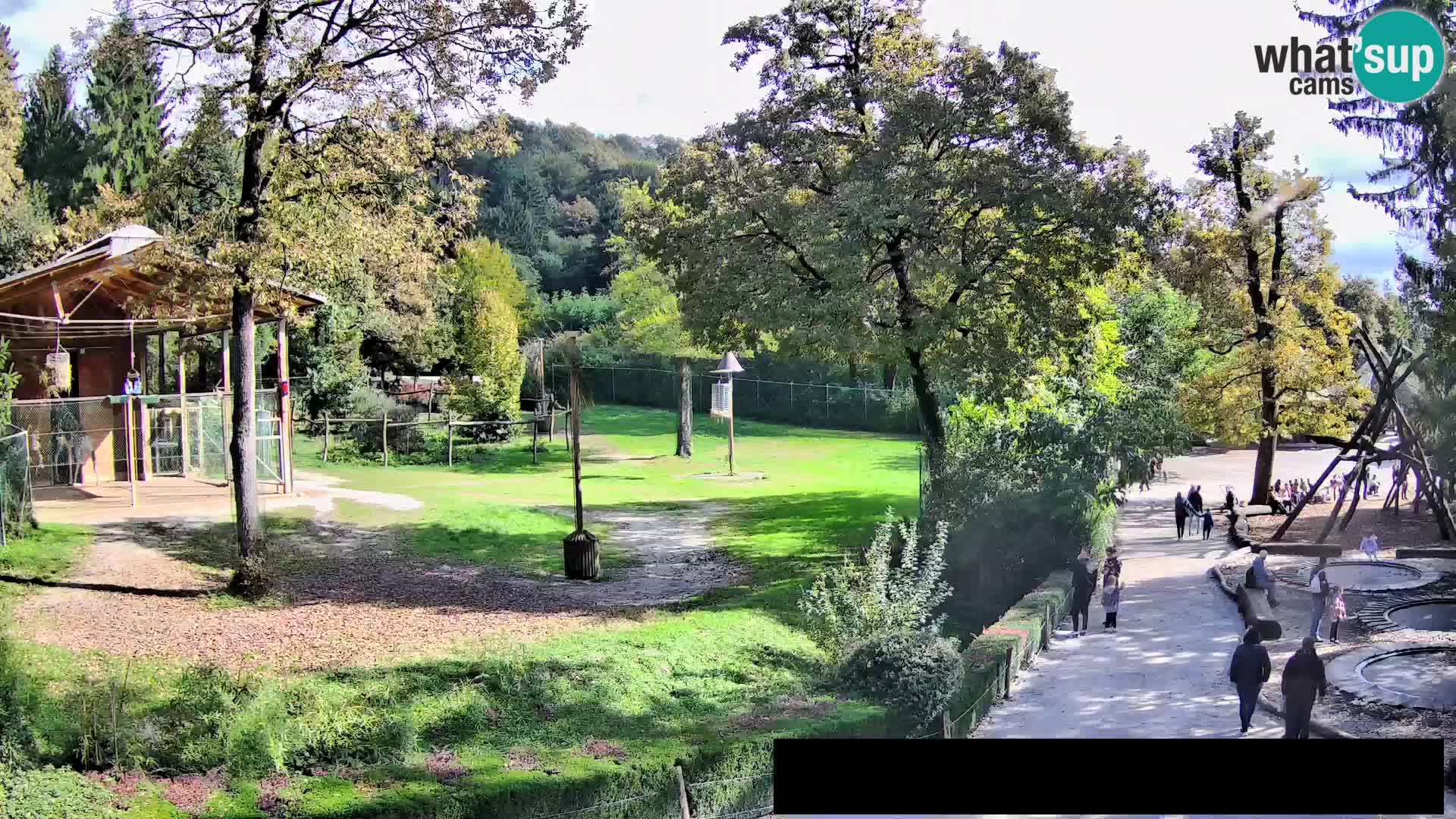 Webcam Zoo Ljubljana – Giraffes