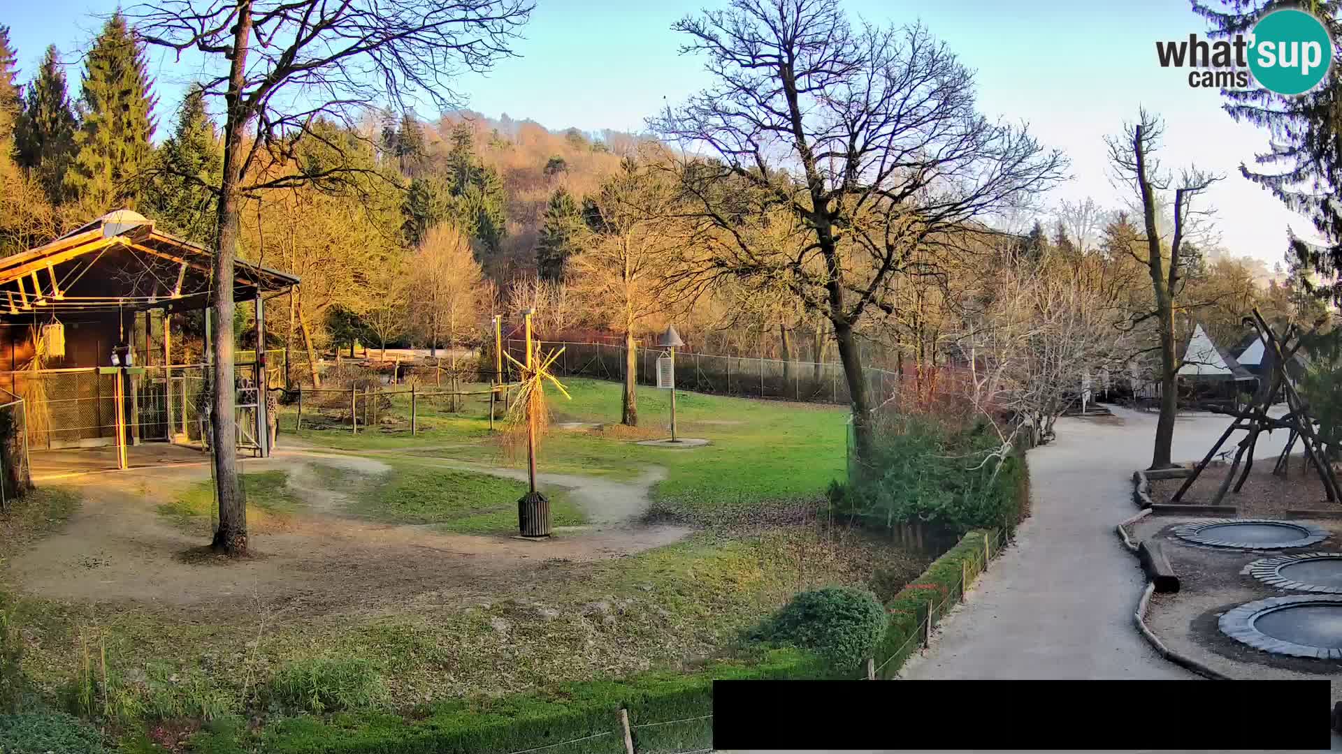 Webcam Zoo Ljubljana – Jirafas