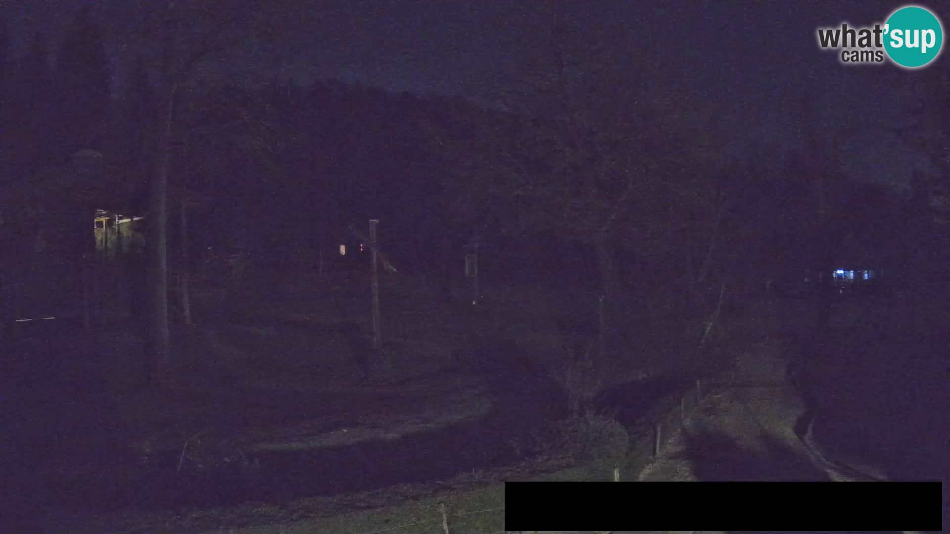 Webcam Zoo Ljubljana – Giraffes