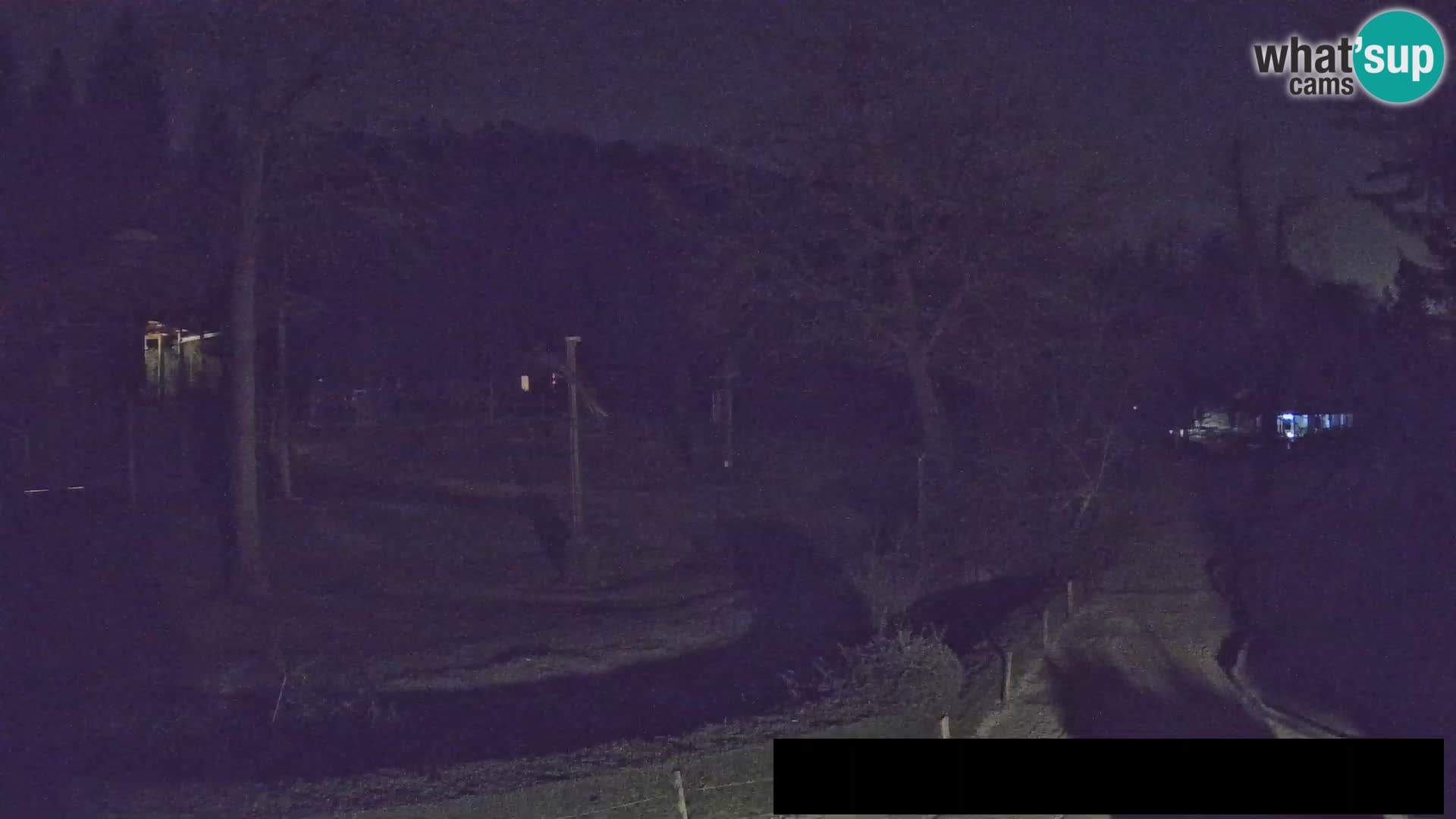 Webcam Zoo Ljubljana – Giraffes