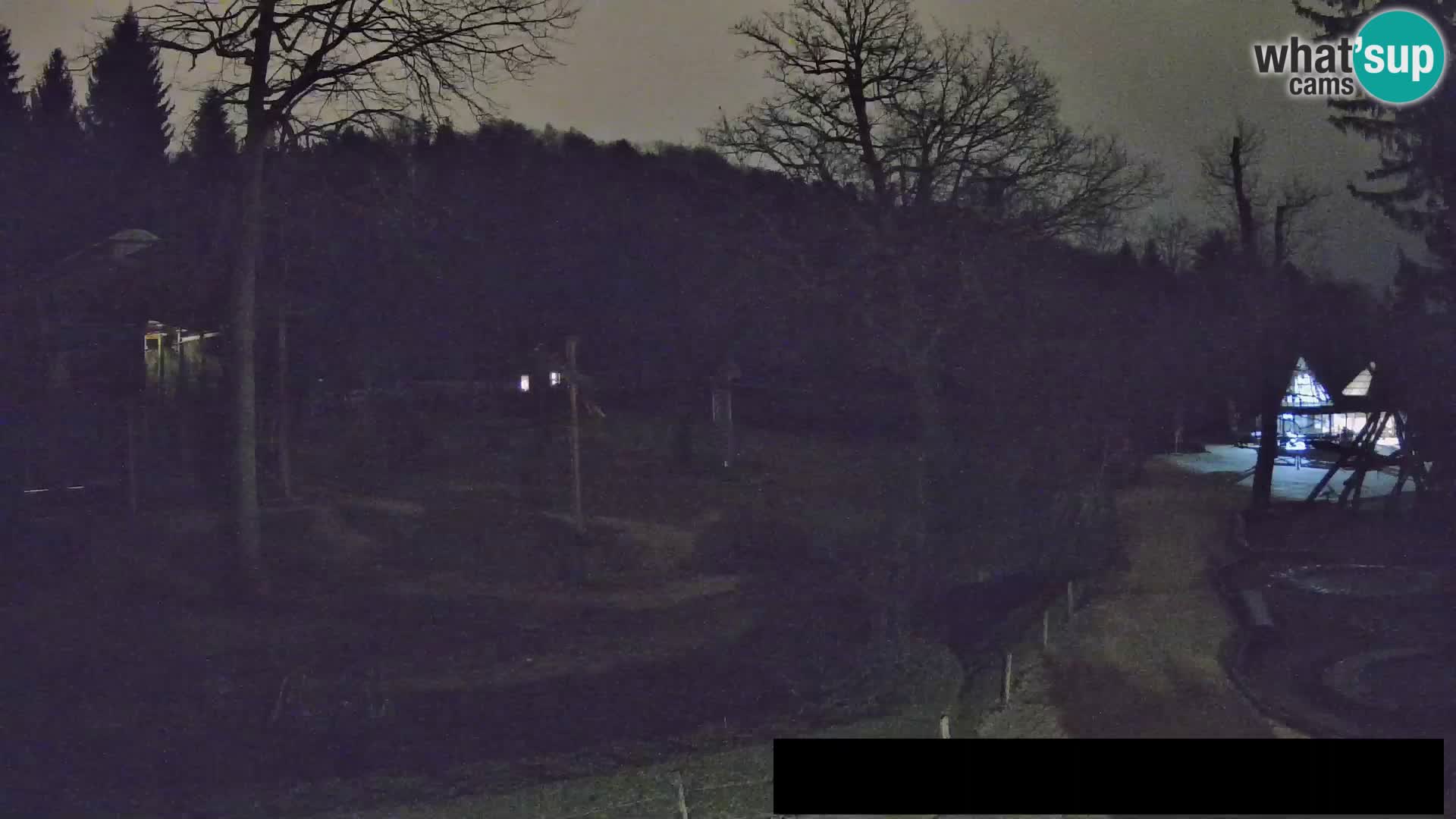 Webcam Zoo Ljubljana – Giraffes