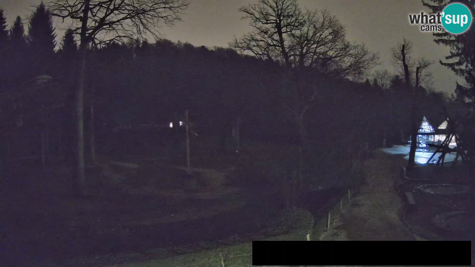 Webcam Zoo Ljubljana – Giraffes