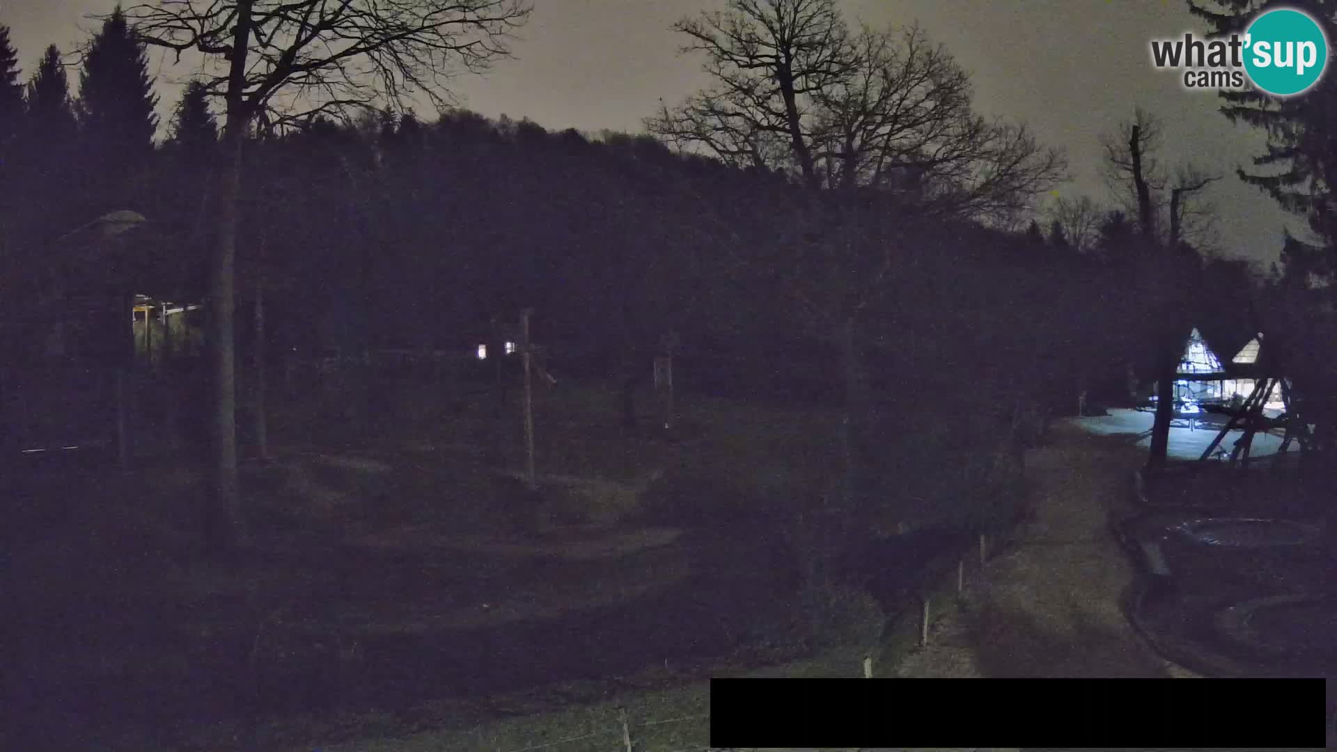 Webcam Zoo Ljubljana – Giraffes