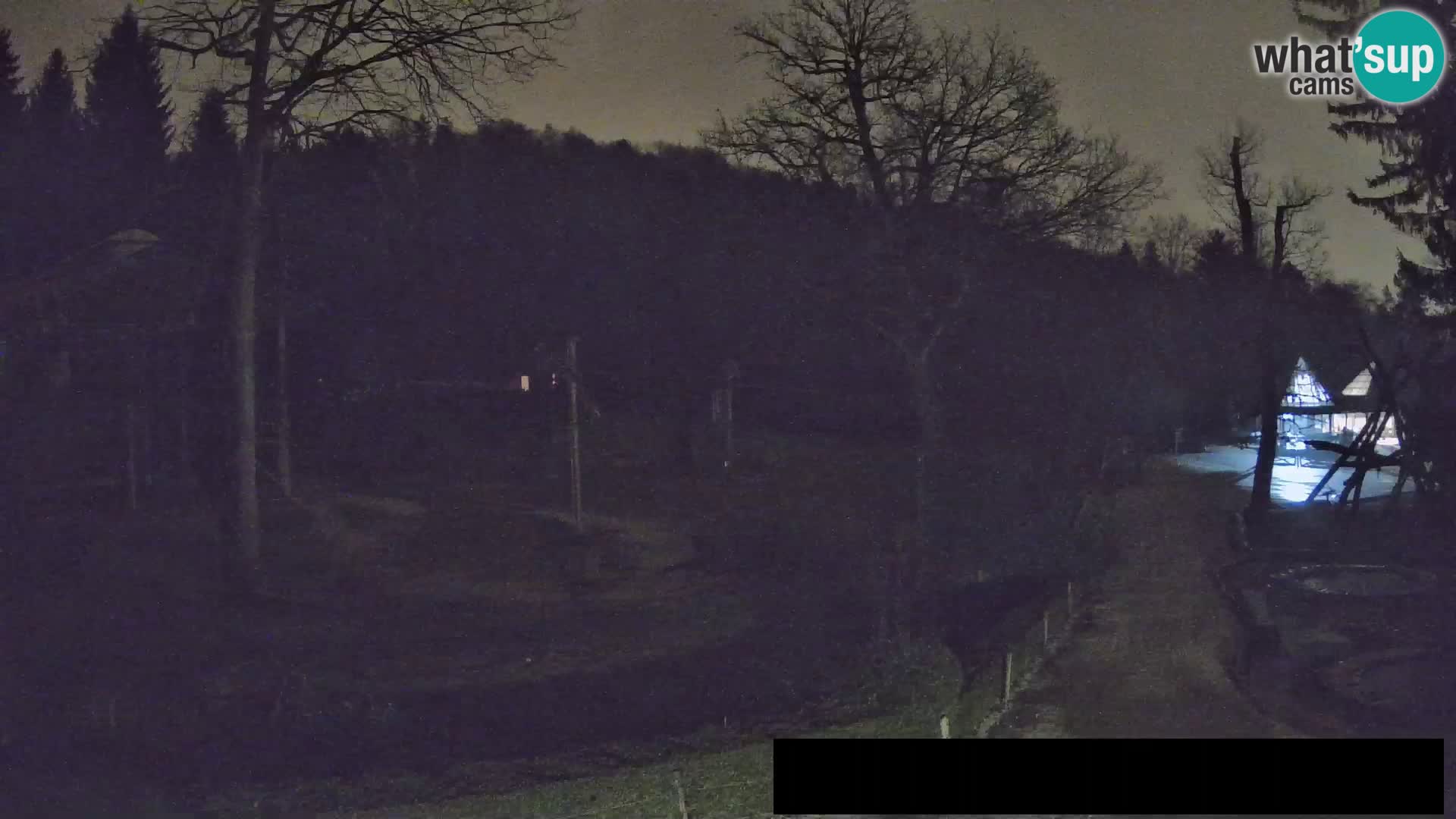 Webcam Zoo Ljubljana – Giraffes