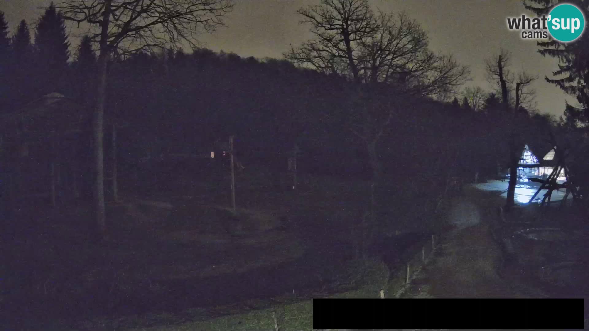 Webcam Zoo Ljubljana – Giraffes