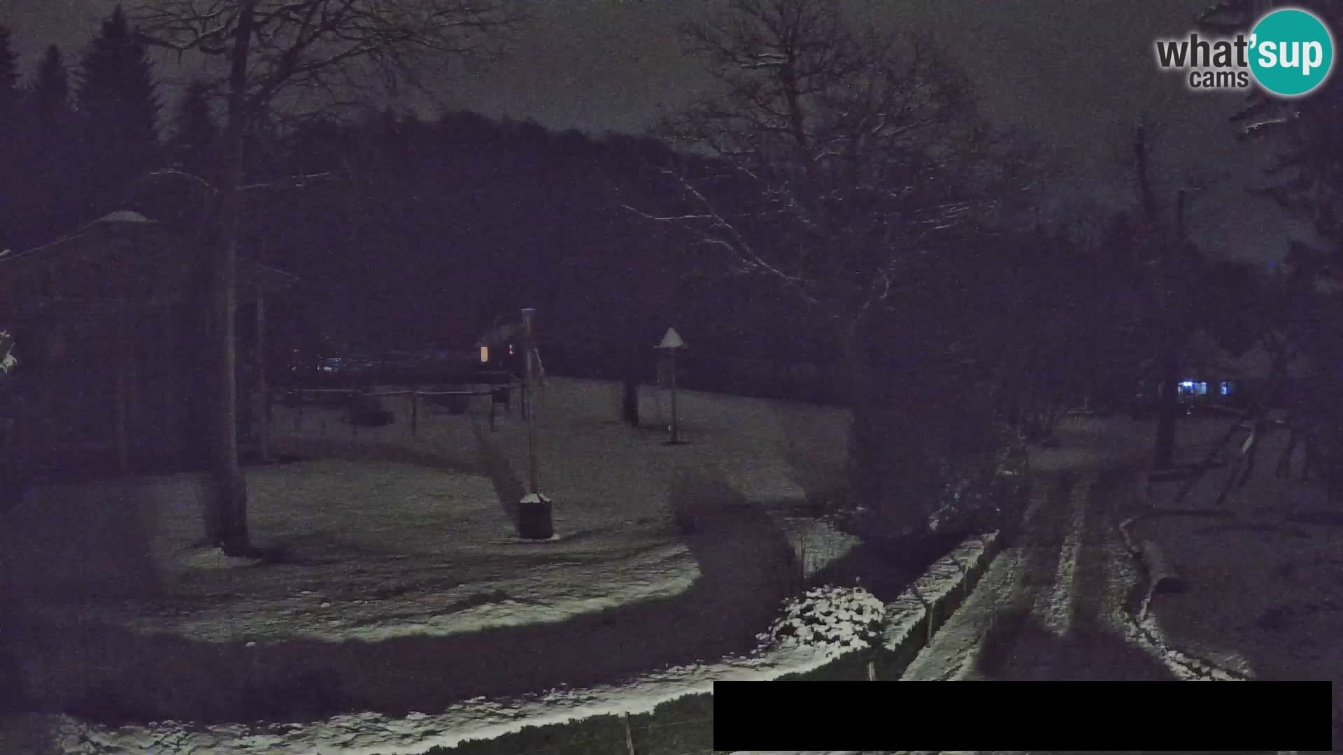 Webcam Zoo Ljubljana – Giraffes