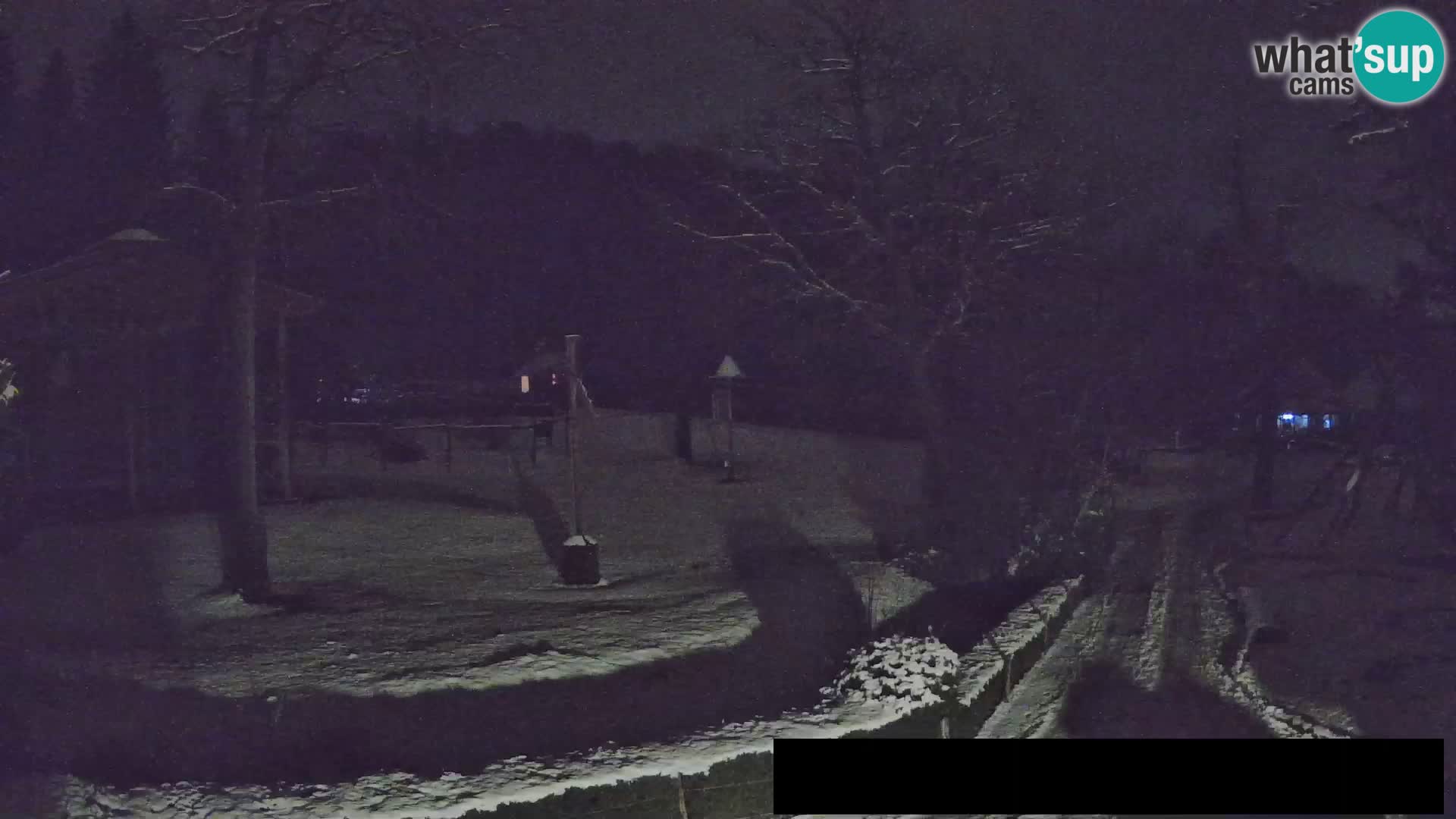 Webcam Zoo Ljubljana – Giraffes