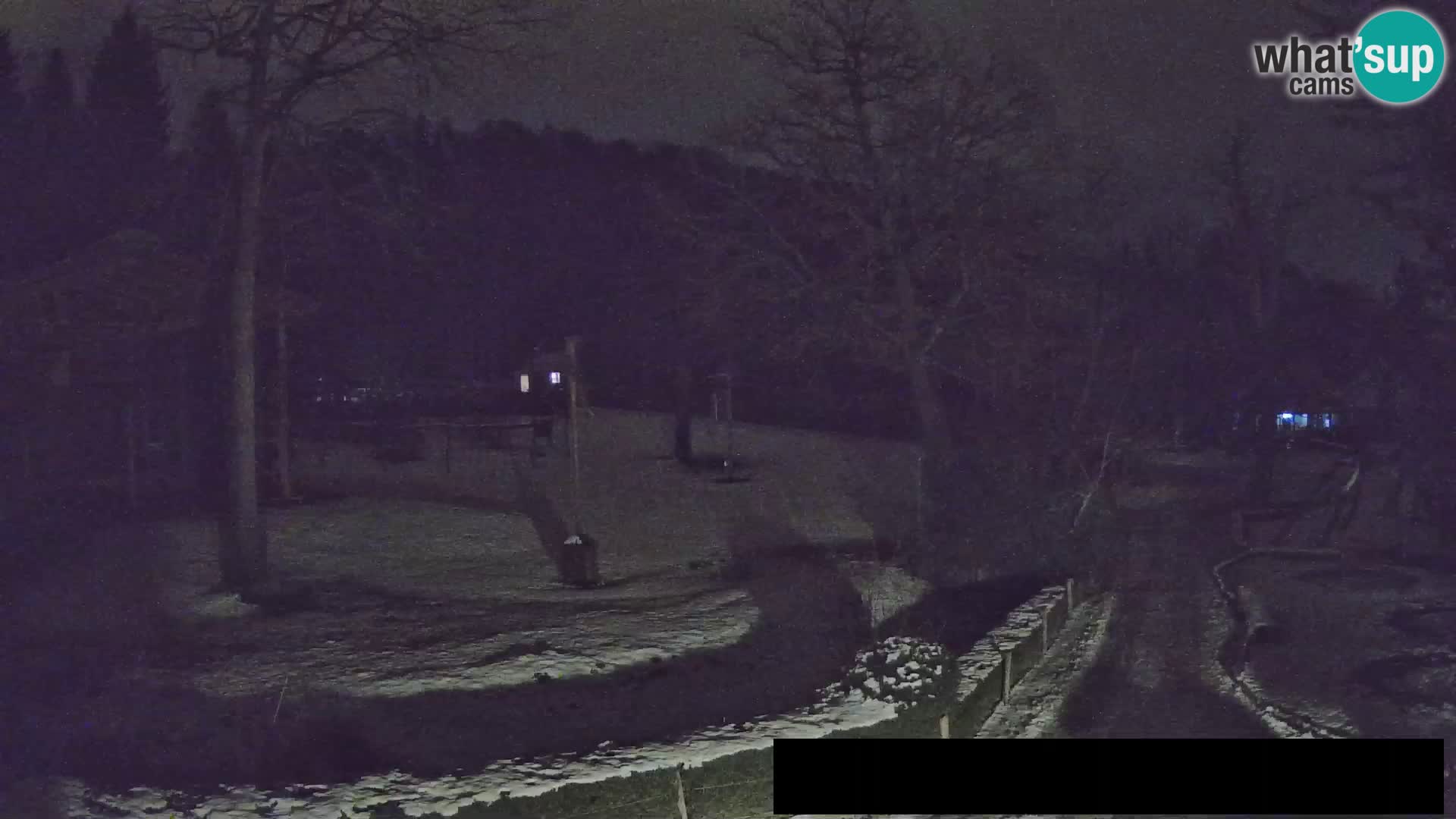 Webcam Zoo Ljubljana – Giraffes