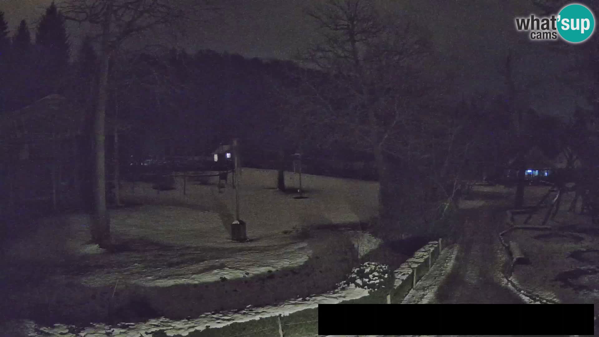 Webcam Zoo Ljubljana – Giraffes