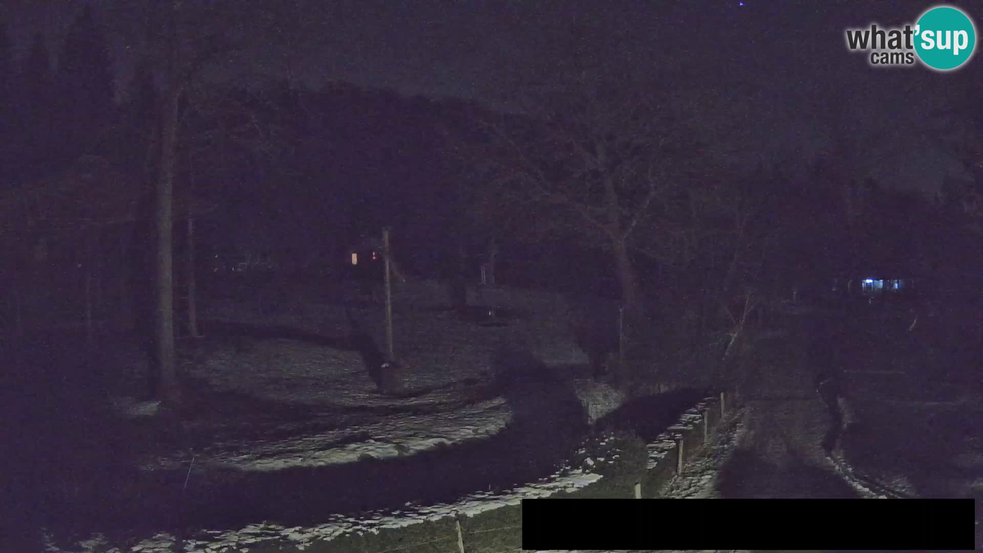 Webcam Zoo Ljubljana – Giraffes