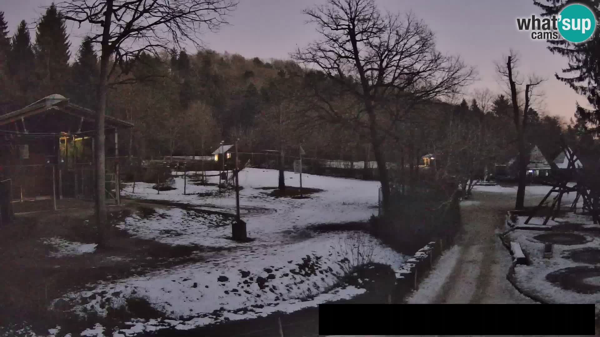 Webcam Zoo Ljubljana – Giraffes