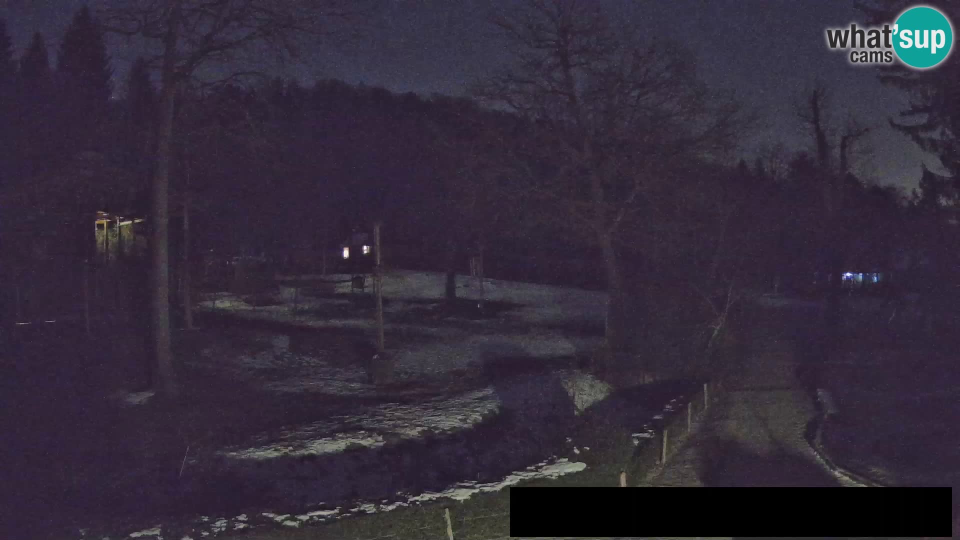 Webcam Zoo Ljubljana – Giraffes