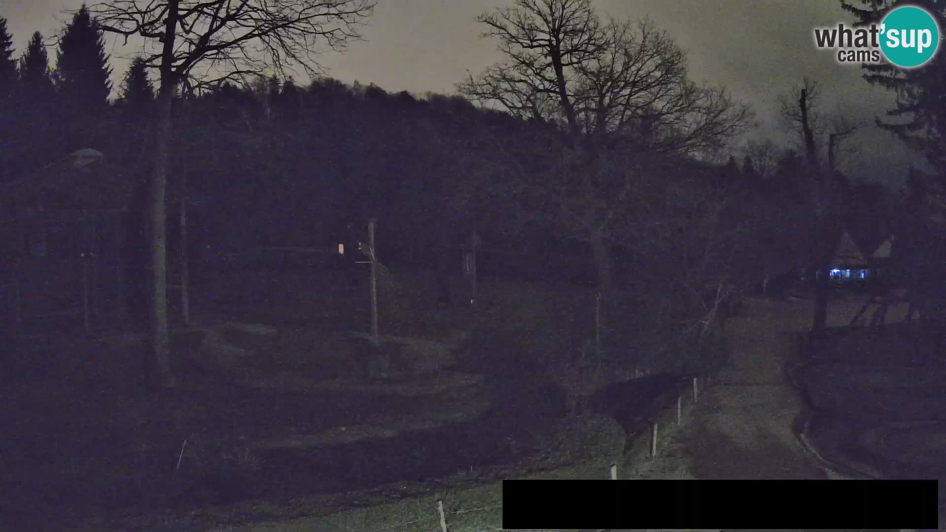 Webcam Zoo Ljubljana – Giraffes