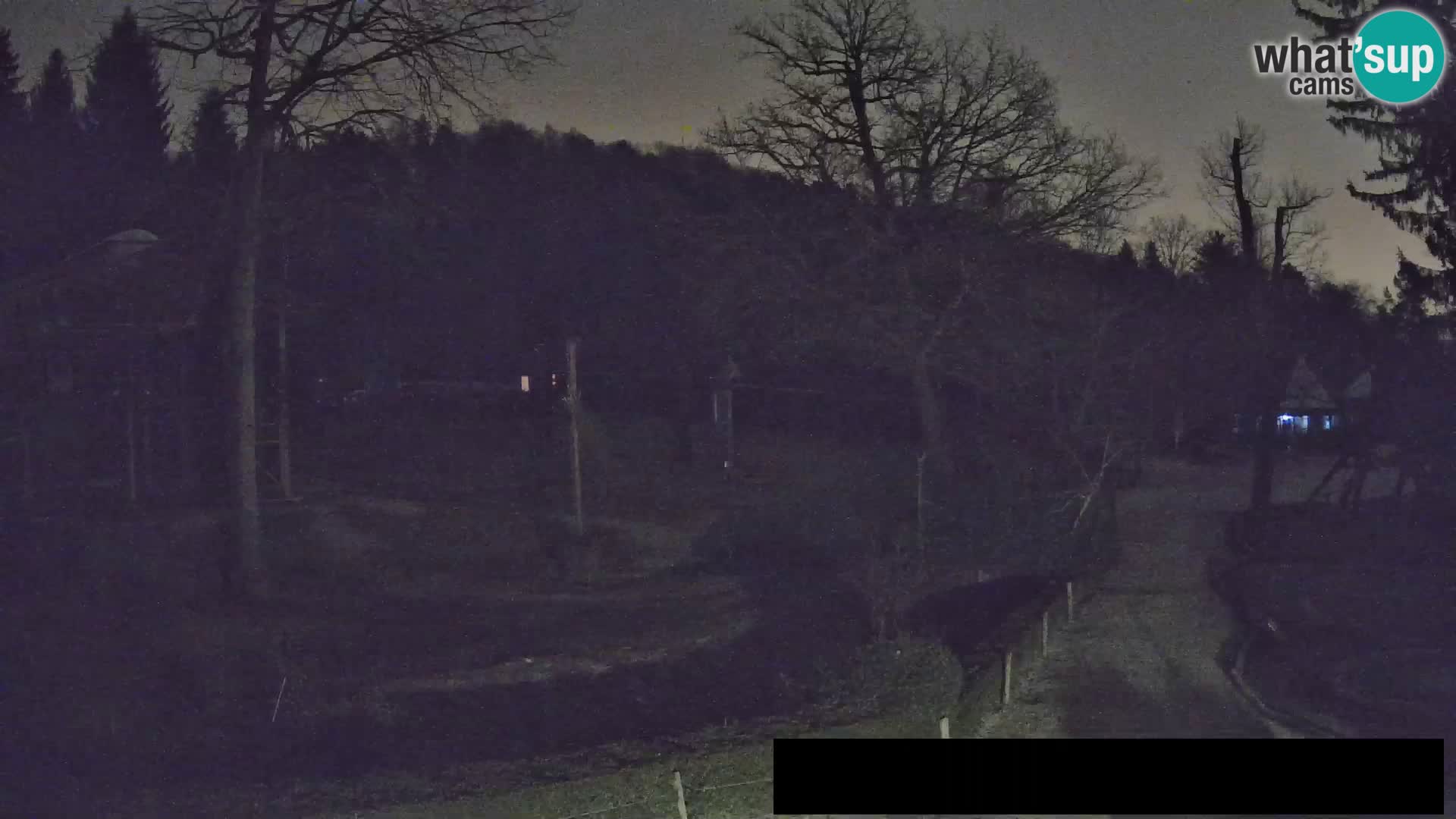 Webcam Zoo Ljubljana – Giraffes