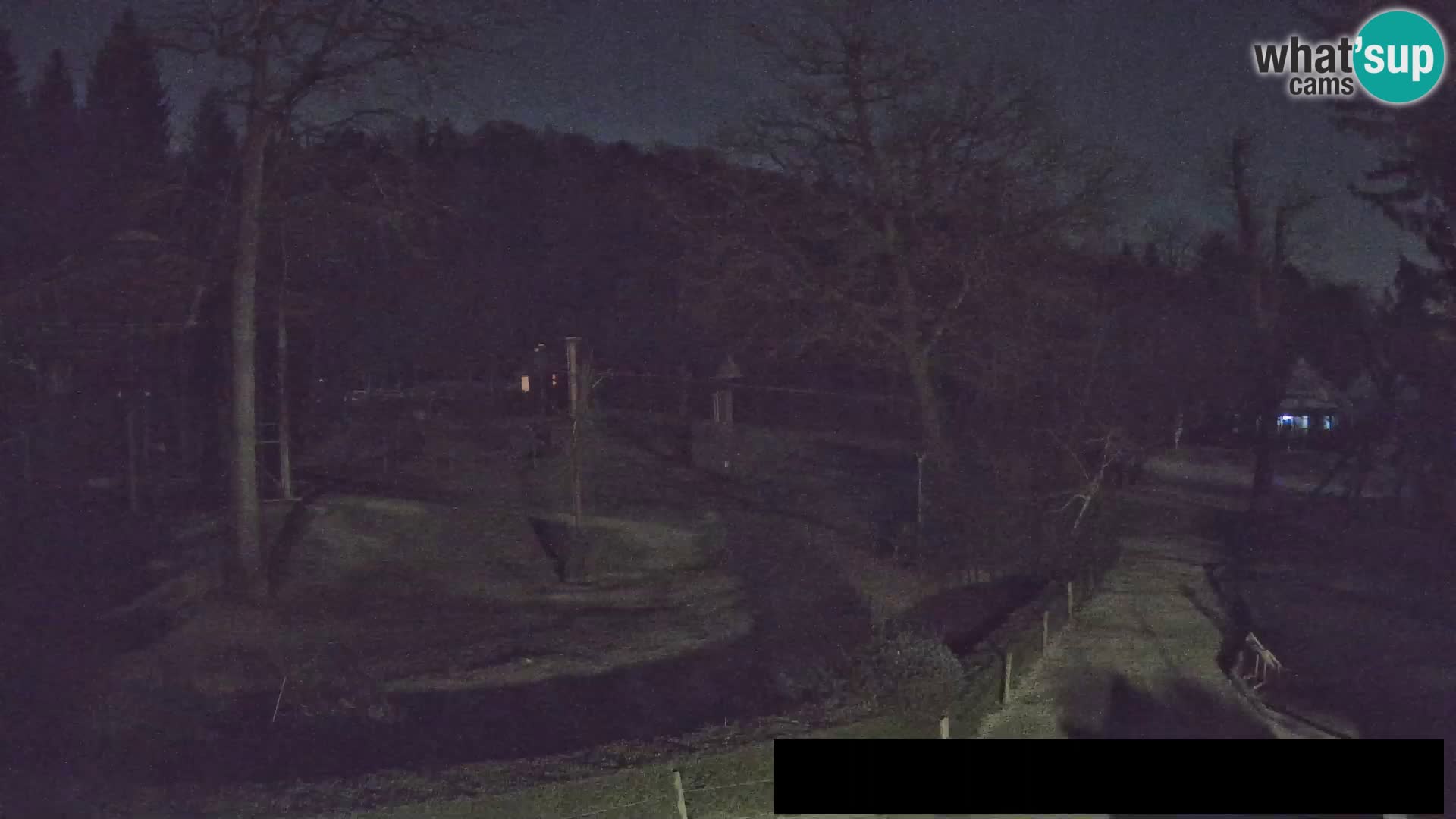 Webcam Zoo Ljubljana – Giraffes