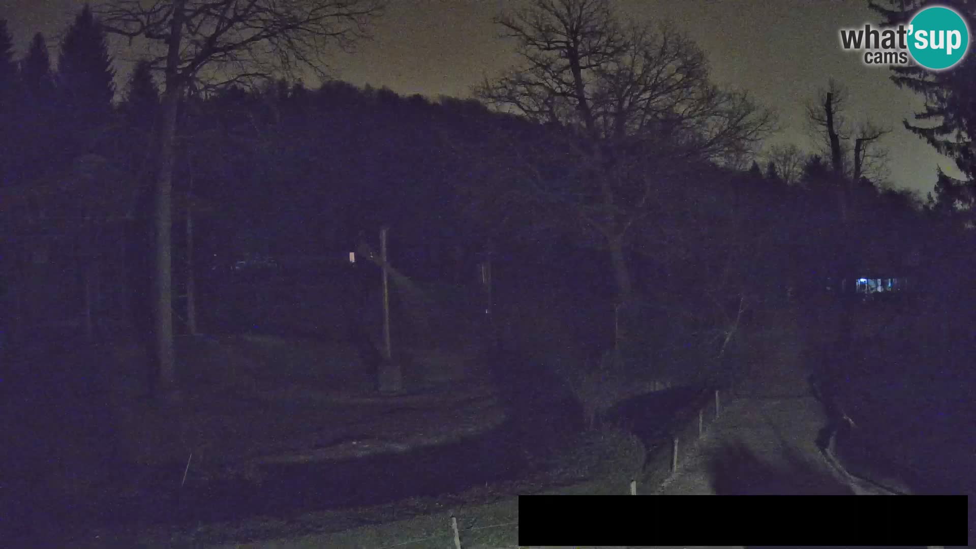 Webcam Zoo Ljubljana – Giraffes