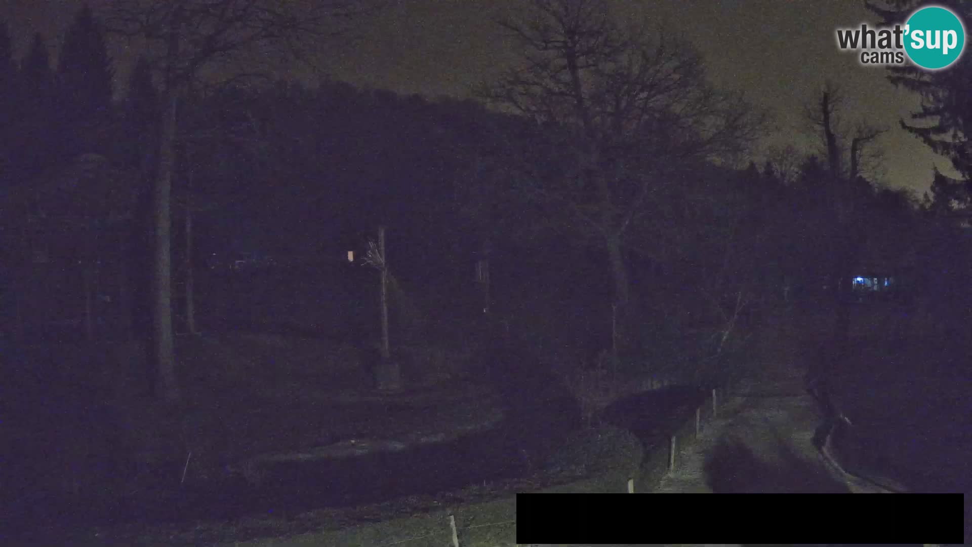 Webcam Zoo Ljubljana – Giraffes