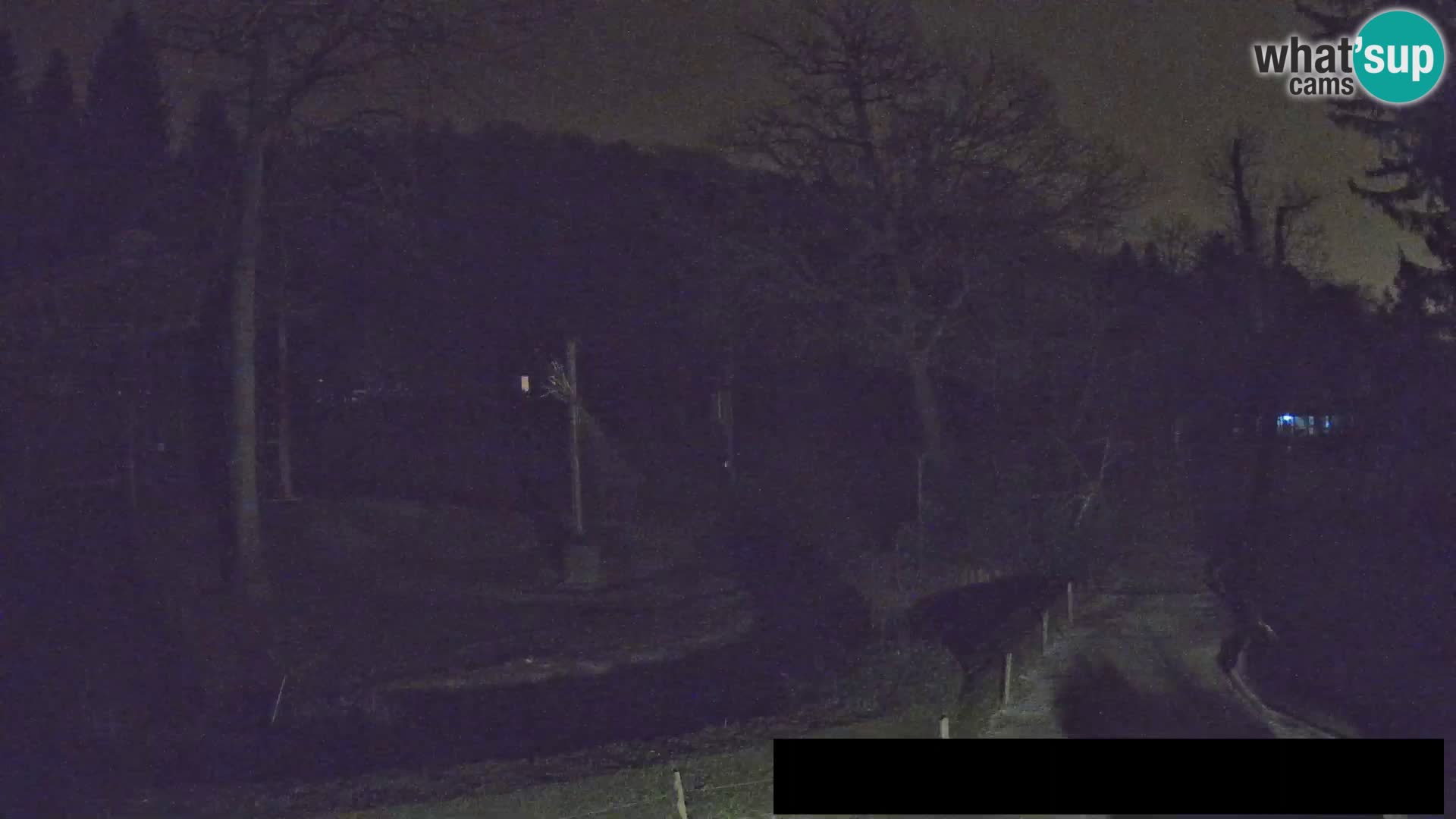 Webcam Zoo Ljubljana – Giraffes