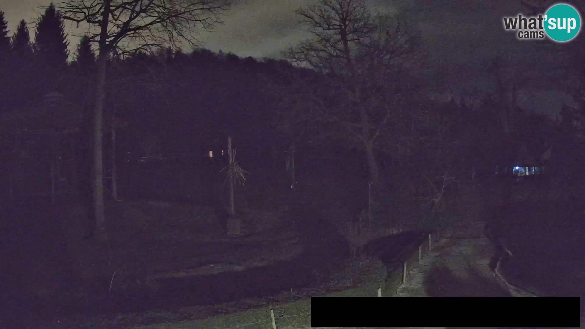 Webcam Zoo Ljubljana – Giraffes