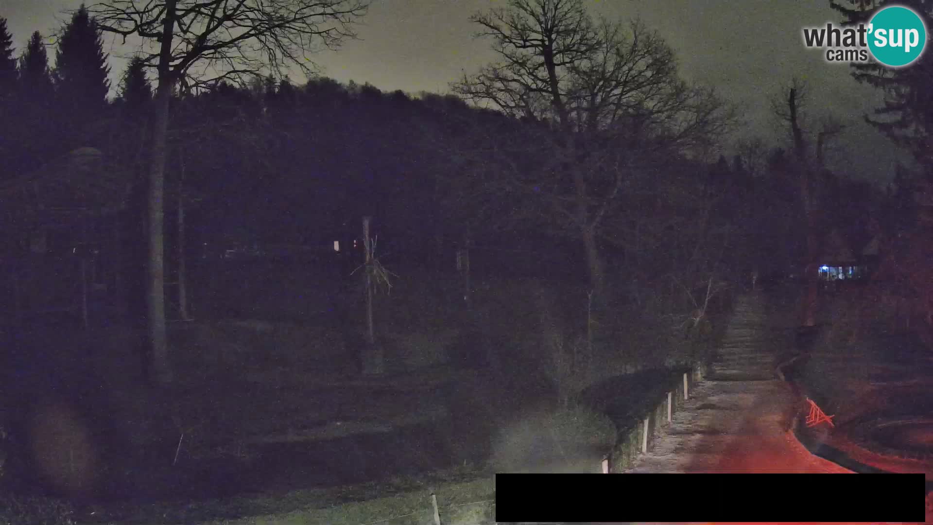 Webcam Zoo Ljubljana – Giraffes