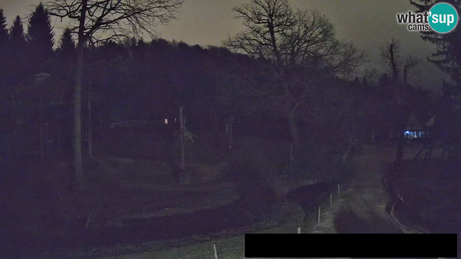 Webcam Zoo Ljubljana – Giraffes