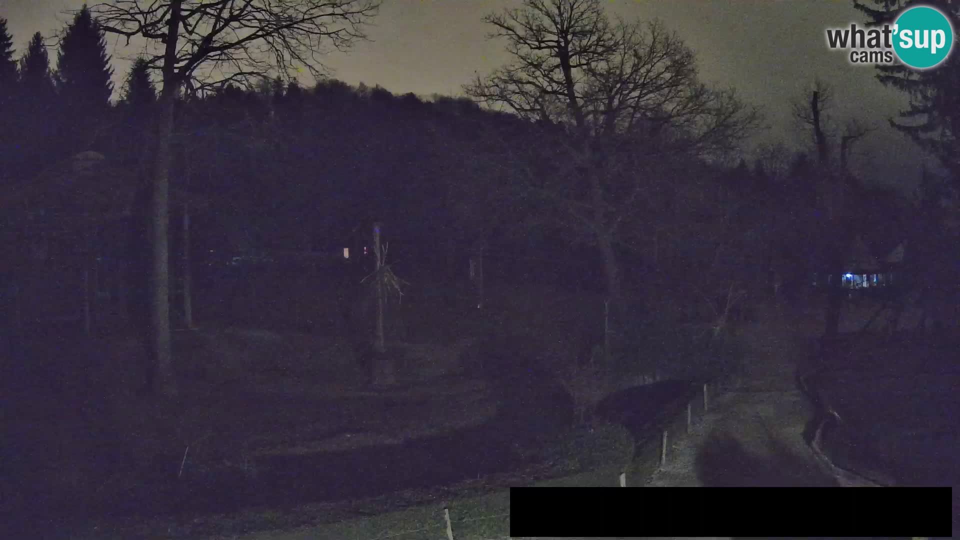 Webcam Zoo Ljubljana – Giraffes