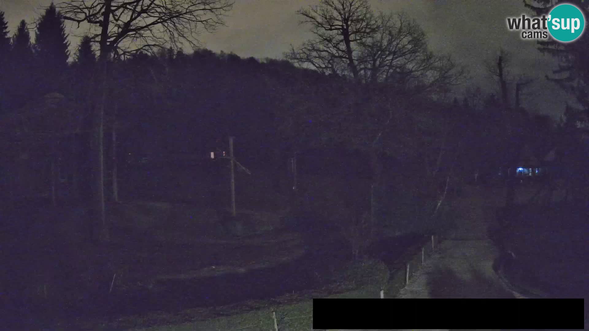 Webcam Zoo Ljubljana – Giraffes