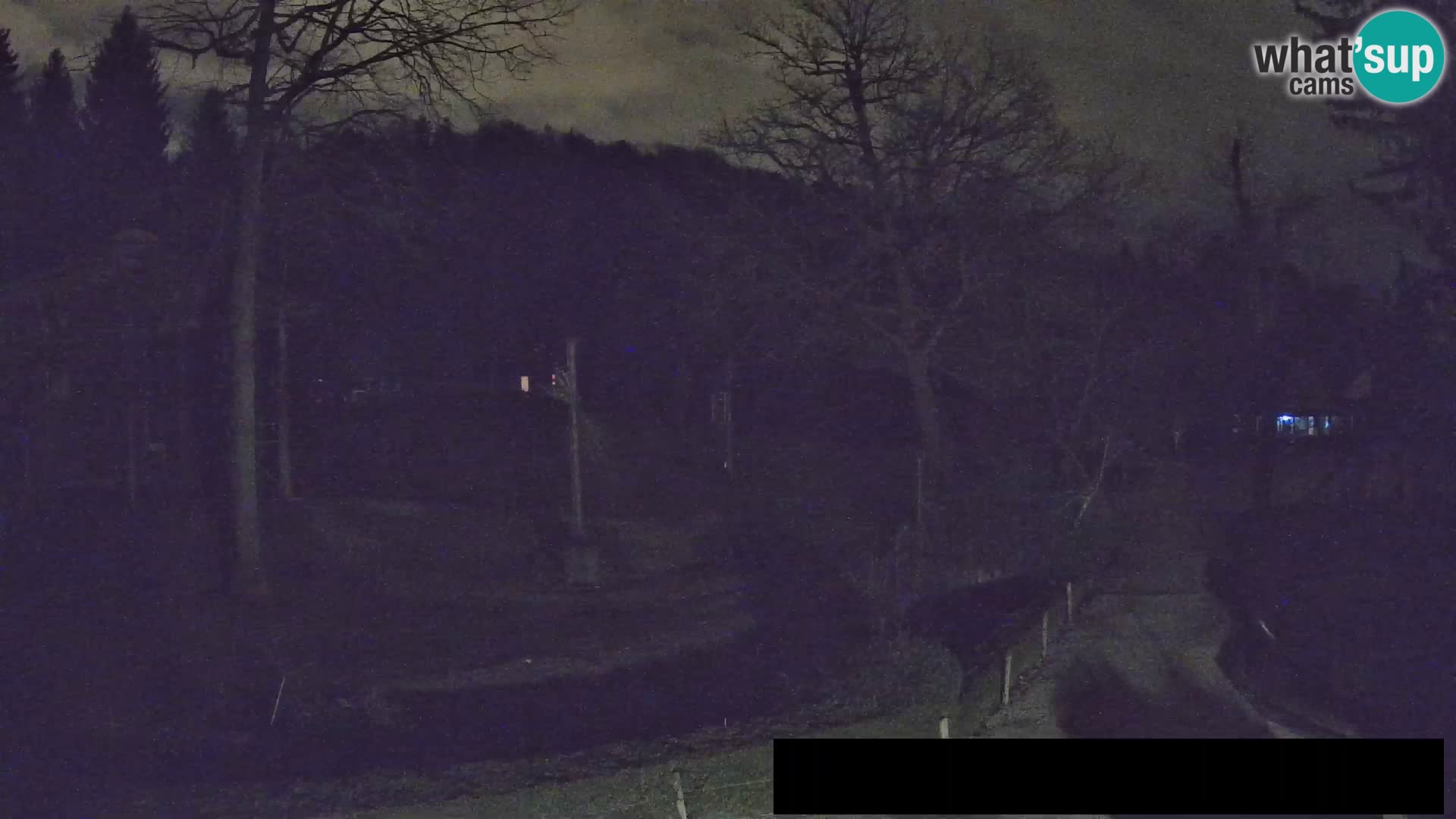 Webcam Zoo Ljubljana – Giraffes