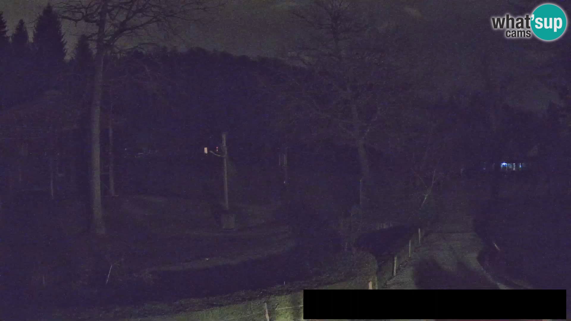 Webcam Zoo Ljubljana – Giraffes