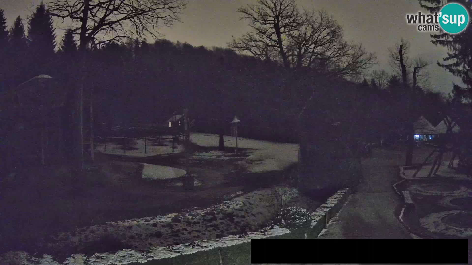 Webcam Zoo Ljubljana – Giraffes