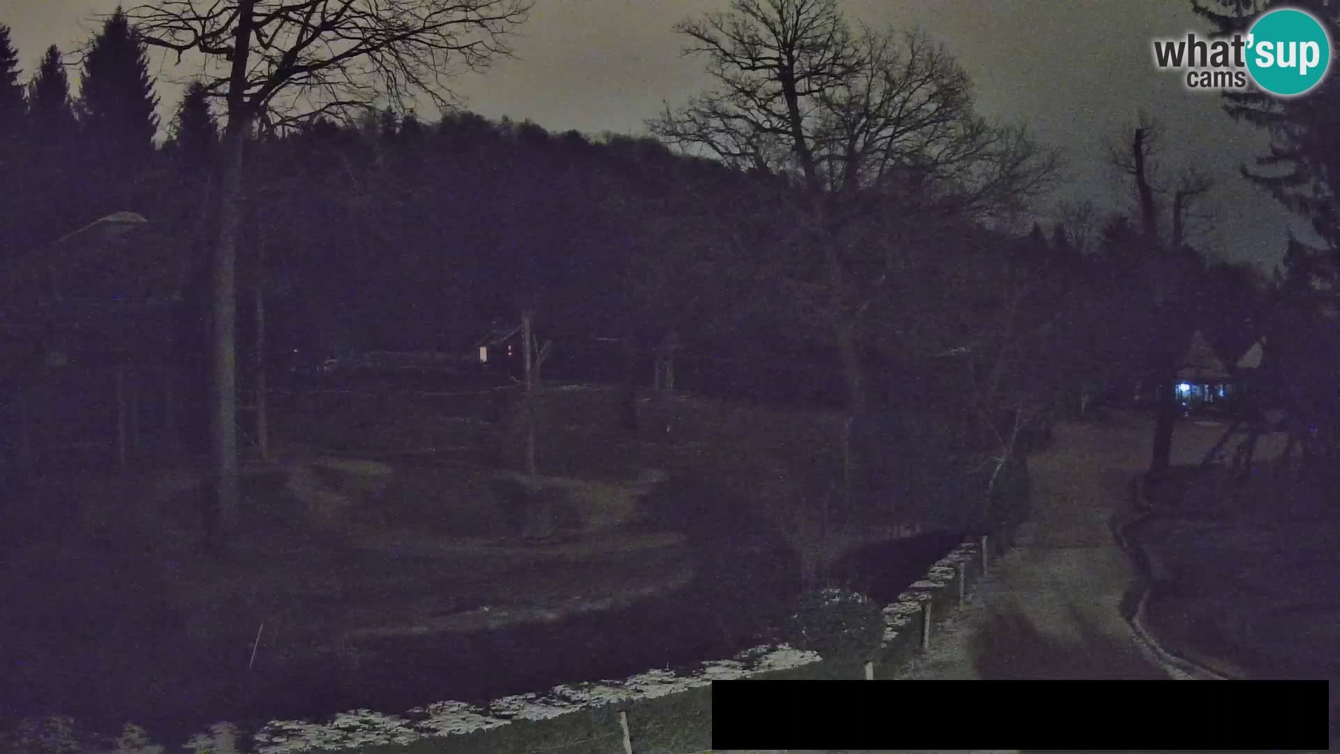 Webcam Zoo Ljubljana – Giraffes